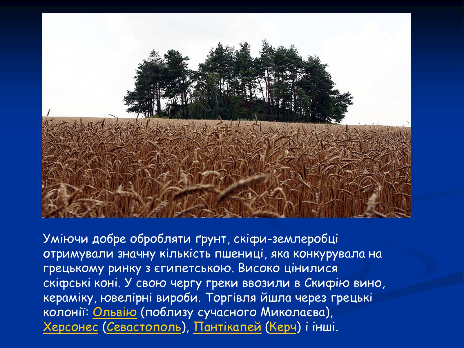 Презентація на тему «Культура скіфів» (варіант 1) - Слайд #5 Презентація на тему «Культура скіфів» (варіант 1) - Слайд #5