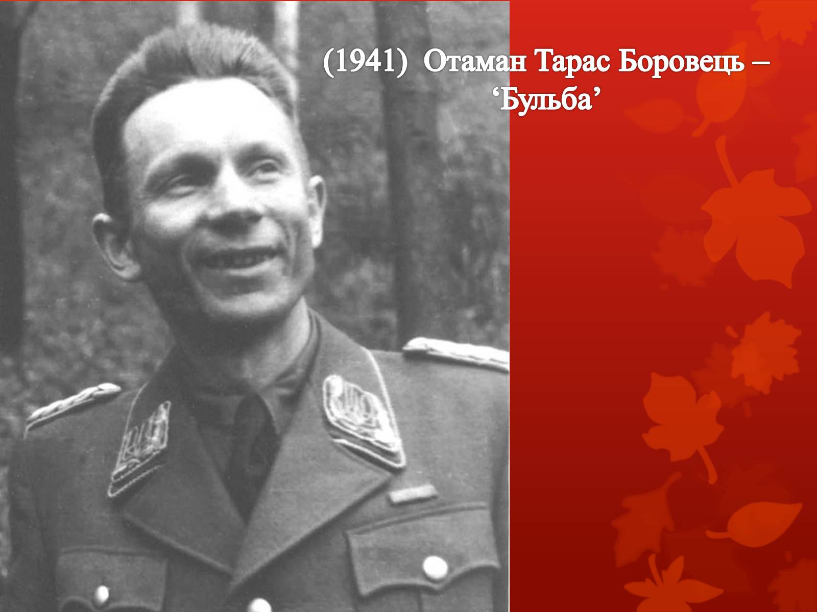 Презентація на тему «УПА у роки Другої світової війни» - Слайд #2 Презентація на тему «УПА у роки Другої світової війни» - Слайд #2