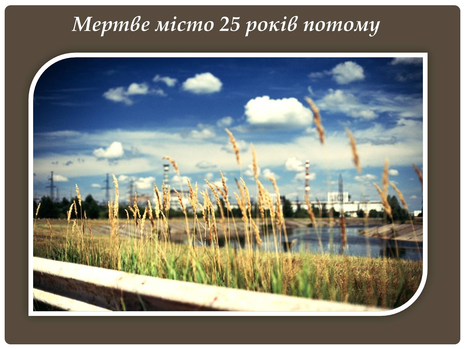 Презентація на тему «Чорнобиль» (варіант 6) - Слайд #27 Презентація на тему «Чорнобиль» (варіант 6) - Слайд #27
