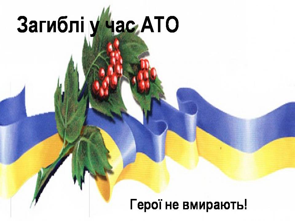 Презентація на тему «Небесна сотня» (варіант 3) - Слайд #29 Презентація на тему «Небесна сотня» (варіант 3) - Слайд #29