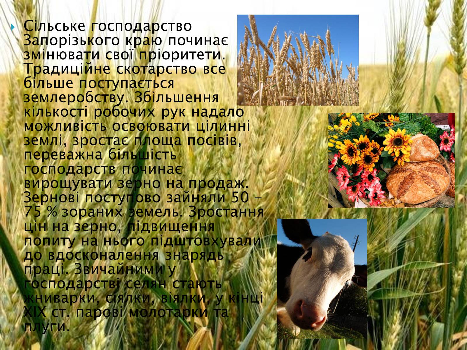 Презентація на тему «Наш край на початку ХХ століття» - Слайд #3 Презентація на тему «Наш край на початку ХХ століття» - Слайд #3