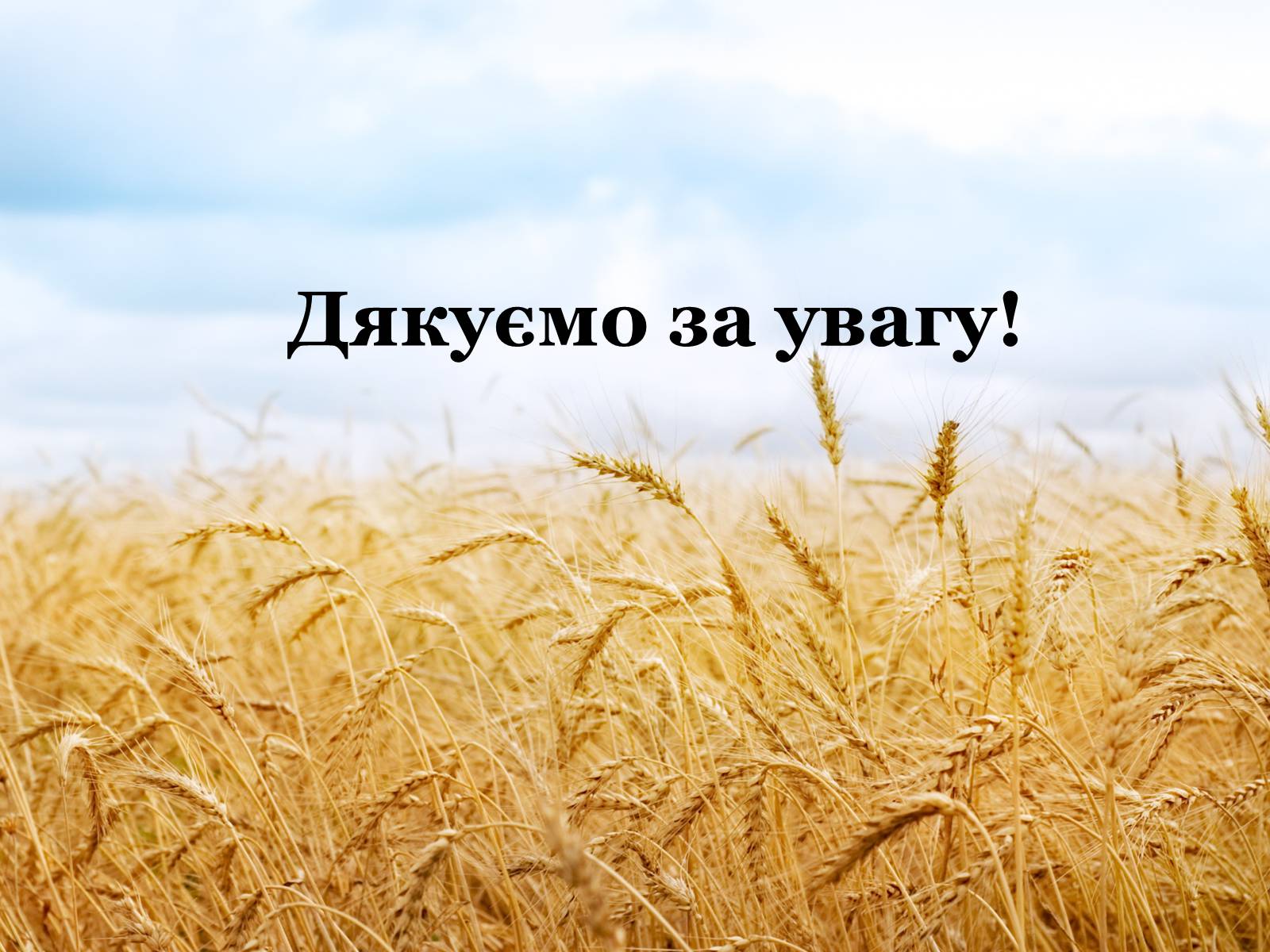 Презентація на тему «Закон про п’ять колосків» - Слайд #10 Презентація на тему «Закон про п’ять колосків» - Слайд #10