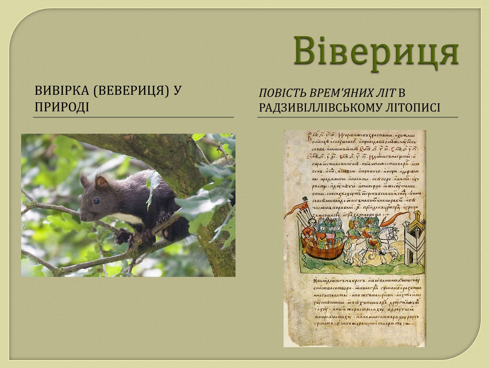 Презентація на тему «Монети Київської Русі» - Слайд #12 Презентація на тему «Монети Київської Русі» - Слайд #12