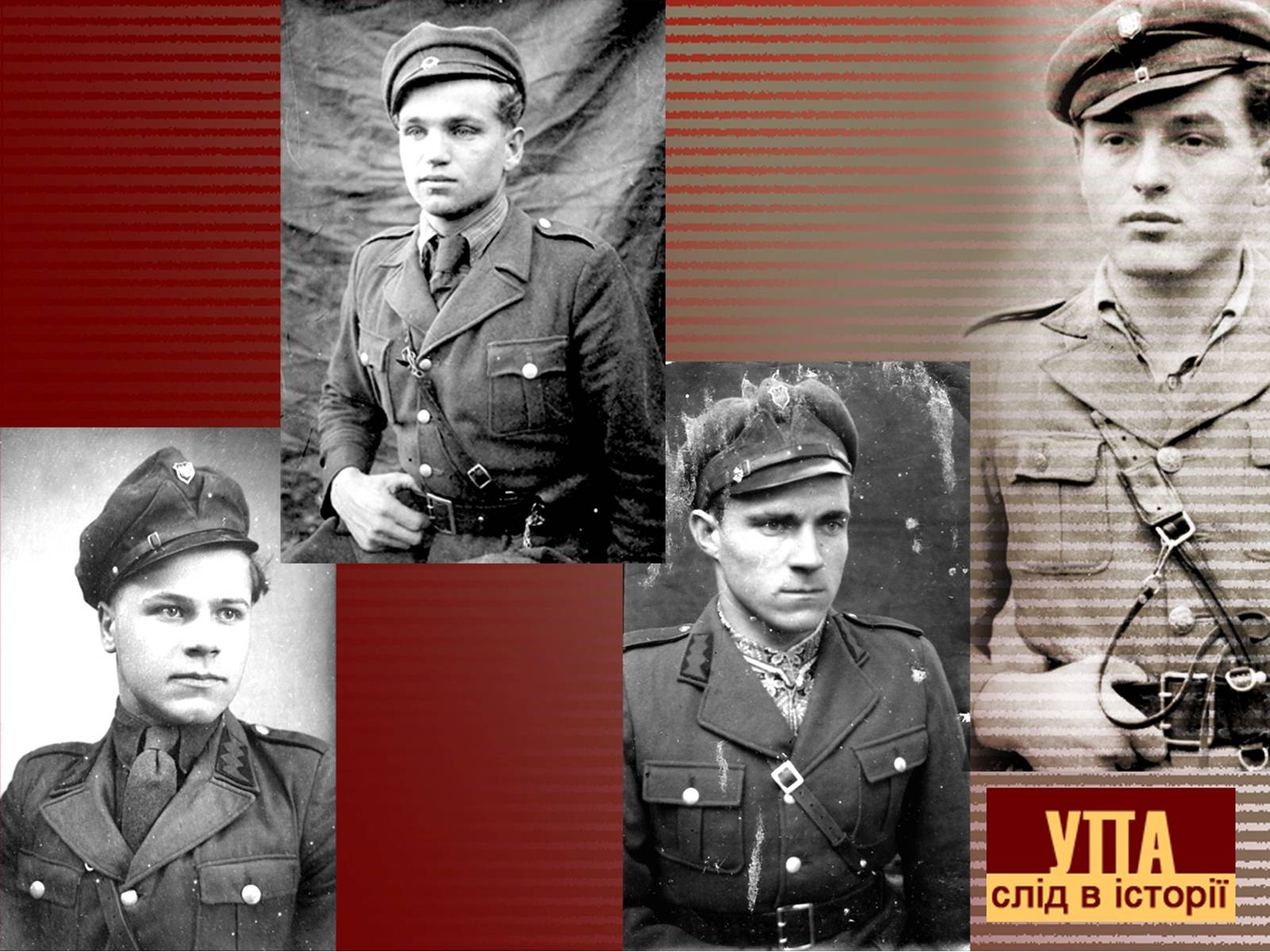 Презентація на тему «УПА» (варіант 2) - Слайд #12 Презентація на тему «УПА» (варіант 2) - Слайд #12