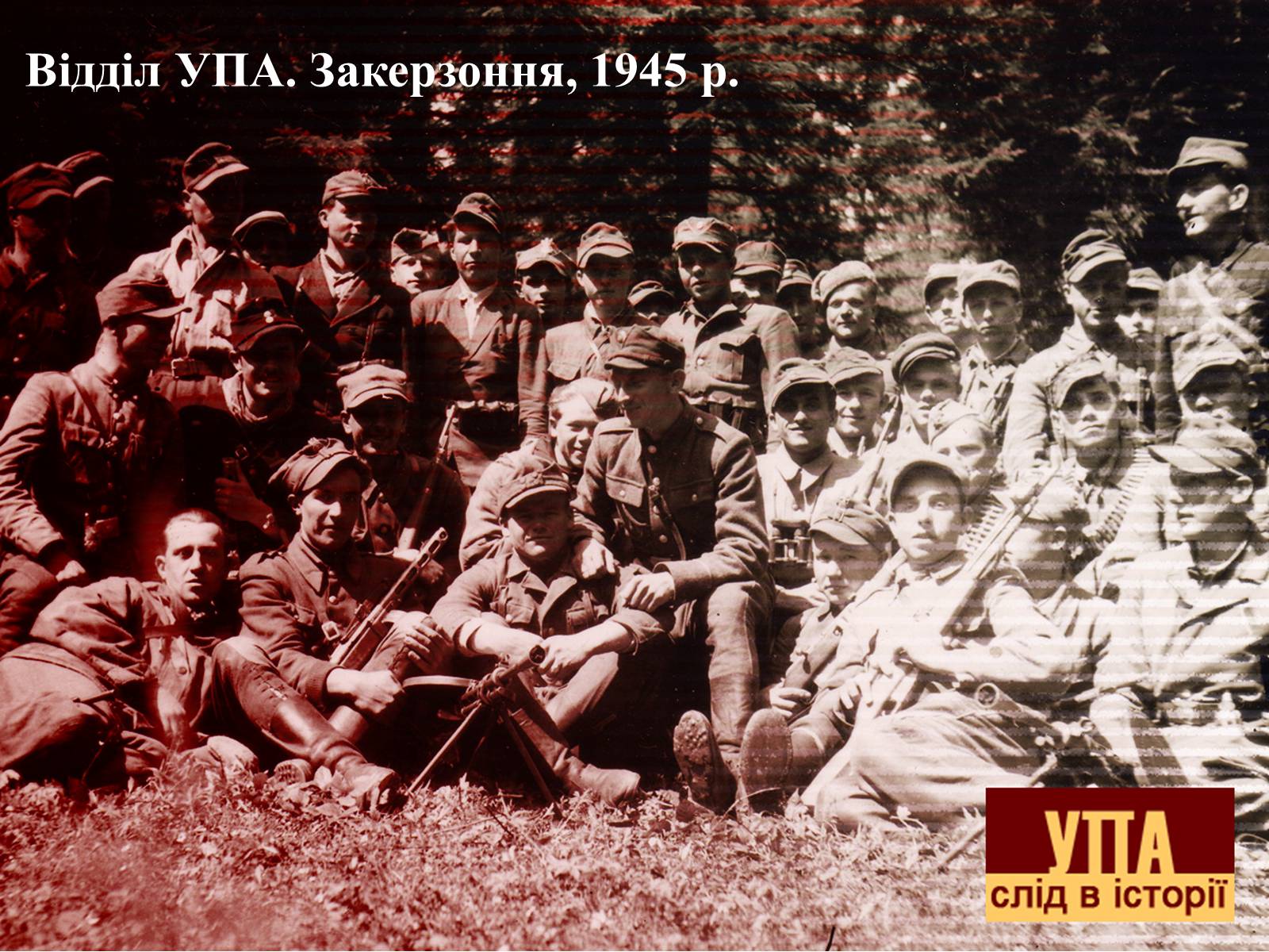 Презентація на тему «УПА» (варіант 2) - Слайд #8 Презентація на тему «УПА» (варіант 2) - Слайд #8