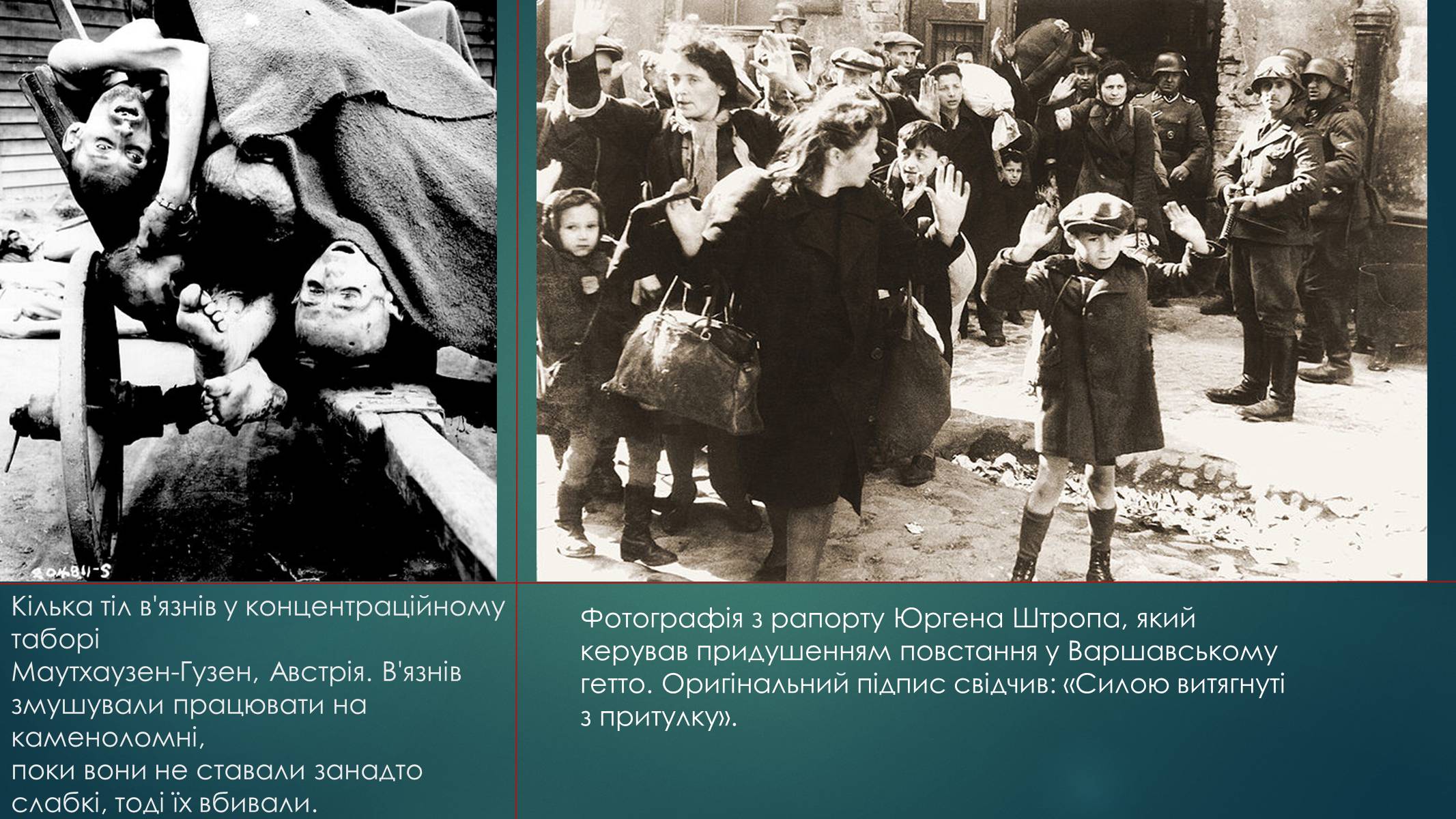 Презентація на тему «Голокост в Україні» (варіант 1) - Слайд #12 Презентація на тему «Голокост в Україні» (варіант 1) - Слайд #12