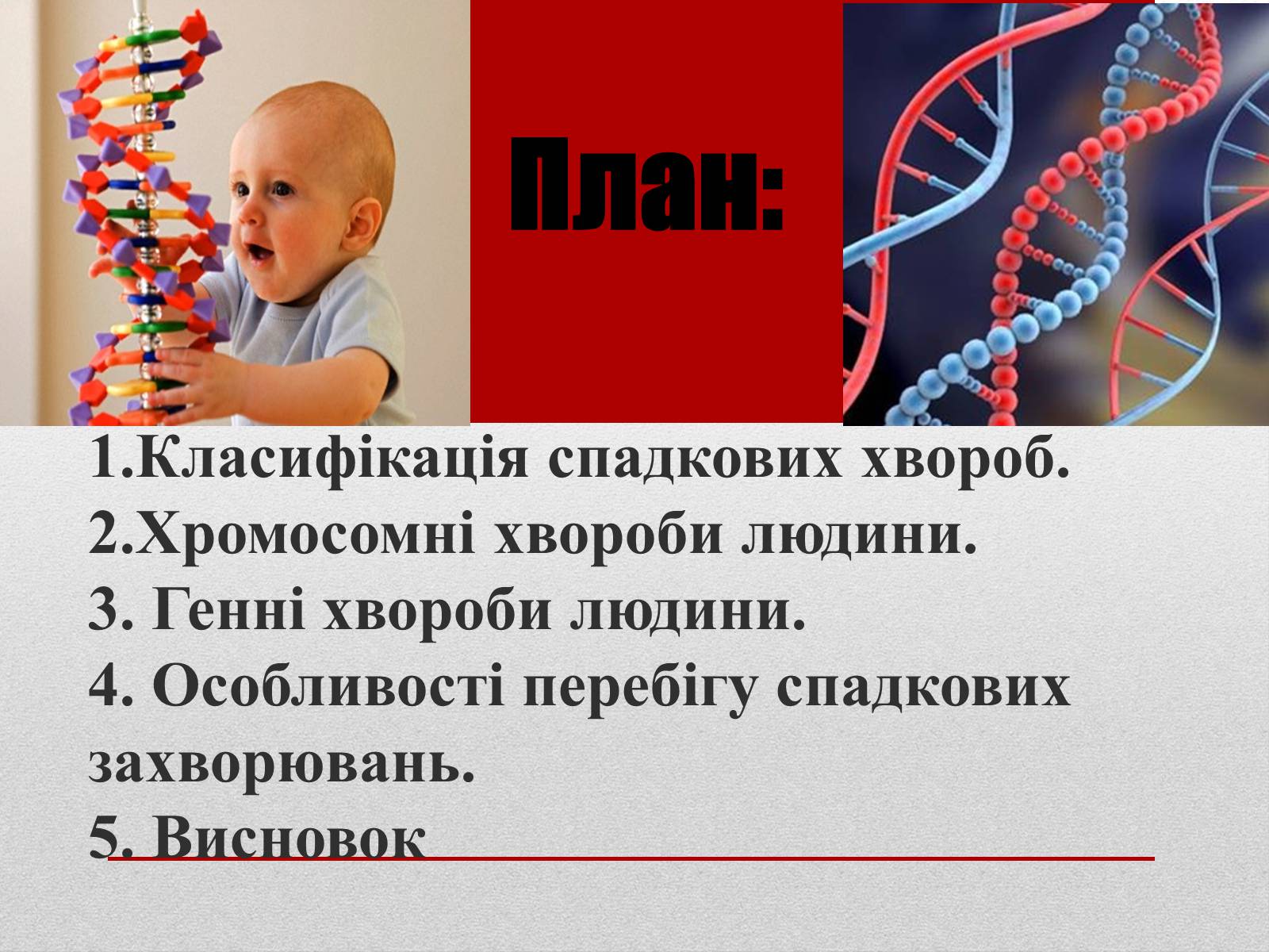 Презентація на тему «Спадкові хвороби людини» - Слайд #3 Презентація на тему «Спадкові хвороби людини» - Слайд #3