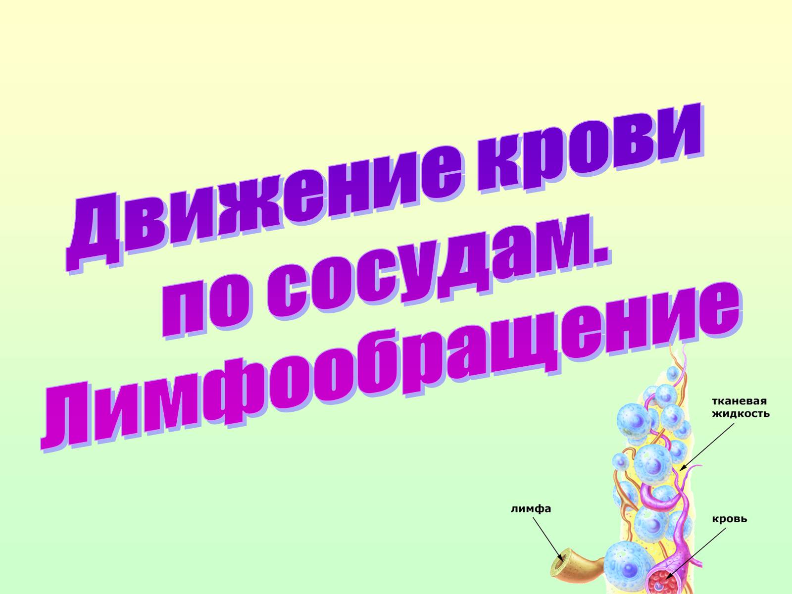 Презентація на тему «Движение крови по сосудам. Лимфообращение» - Слайд #1 Презентація на тему «Движение крови по сосудам. Лимфообращение» - Слайд #1