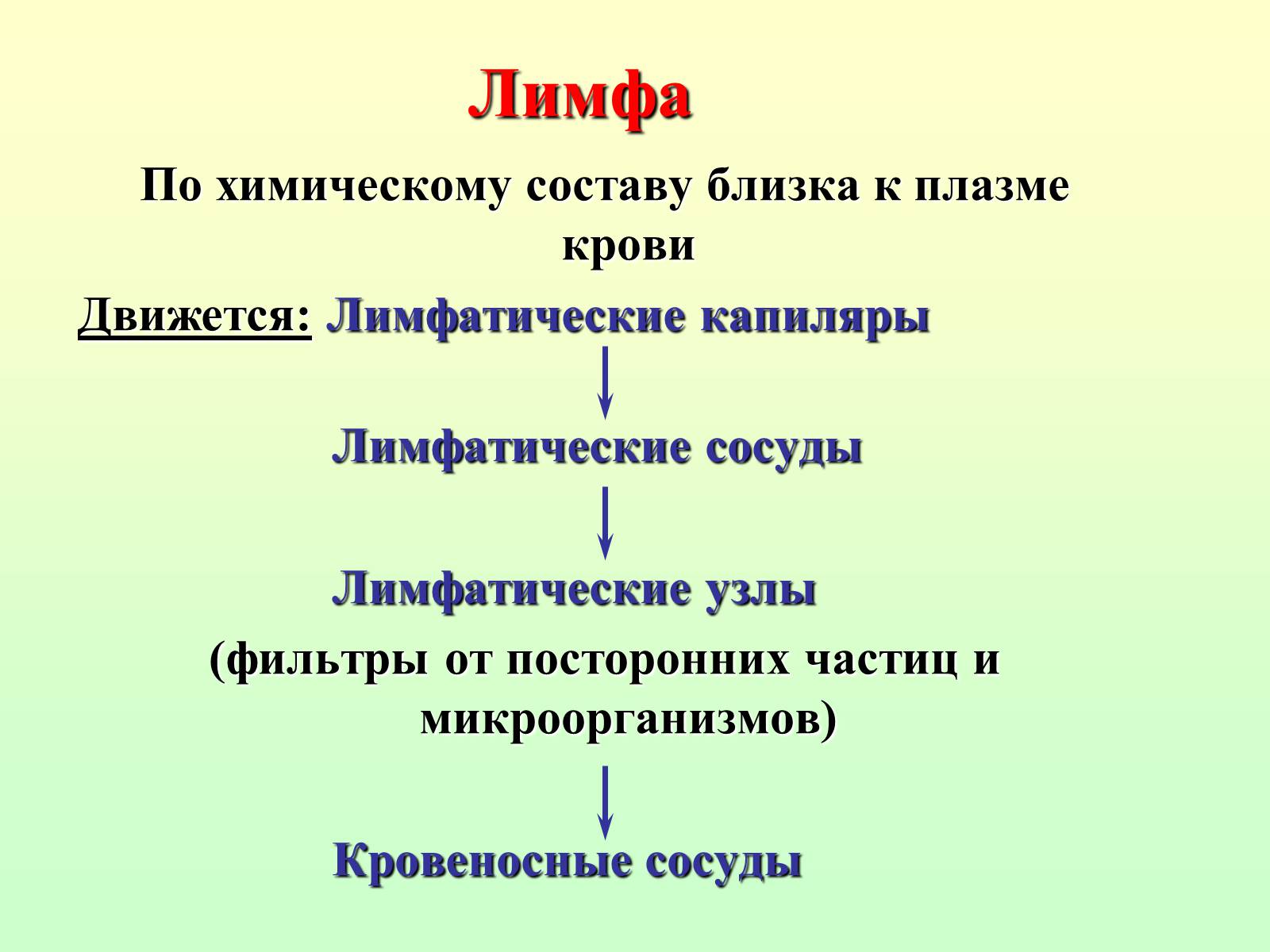 Презентація на тему «Движение крови по сосудам. Лимфообращение» - Слайд #19 Презентація на тему «Движение крови по сосудам. Лимфообращение» - Слайд #19