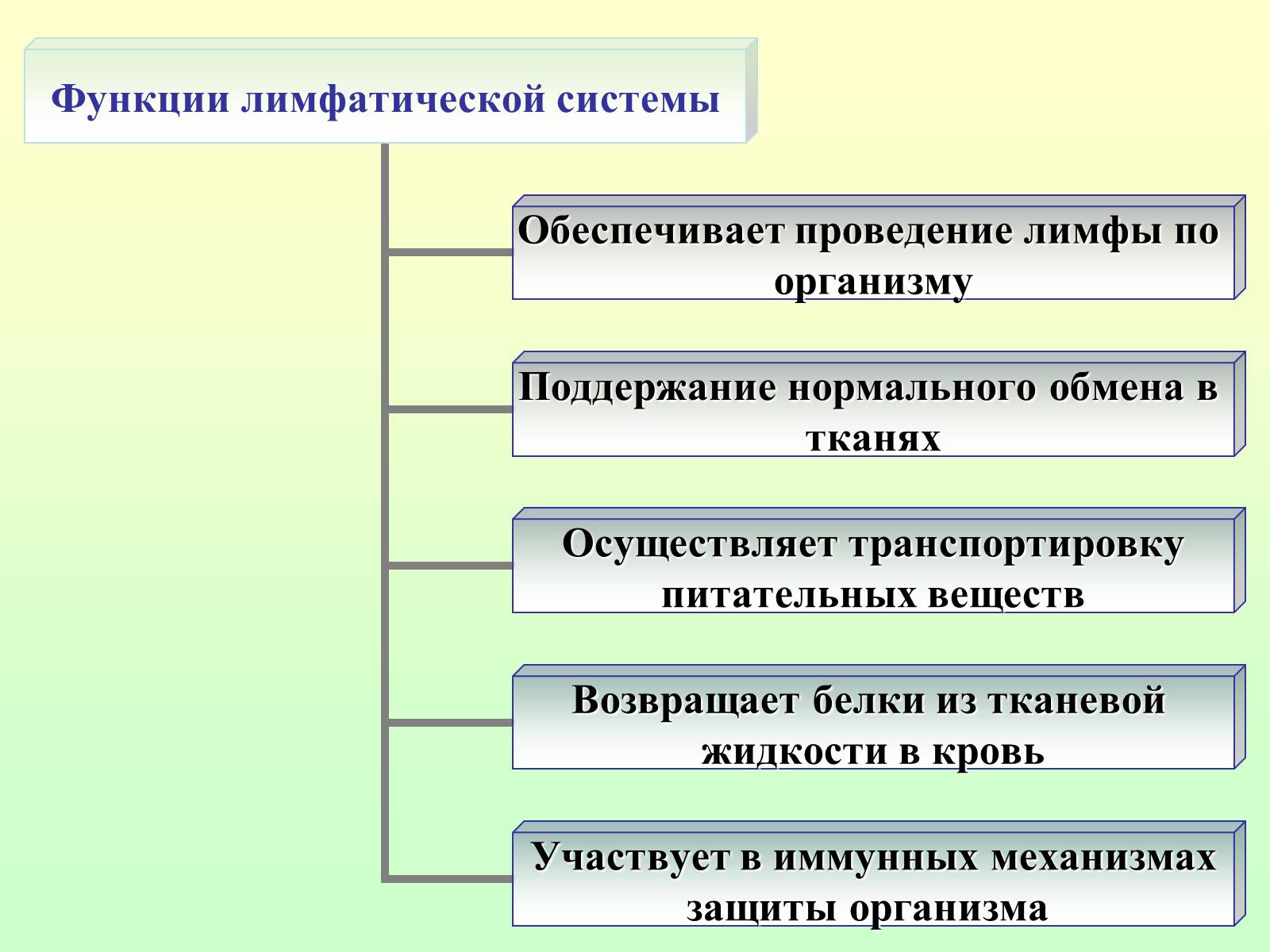 Презентація на тему «Движение крови по сосудам. Лимфообращение» - Слайд #22 Презентація на тему «Движение крови по сосудам. Лимфообращение» - Слайд #22
