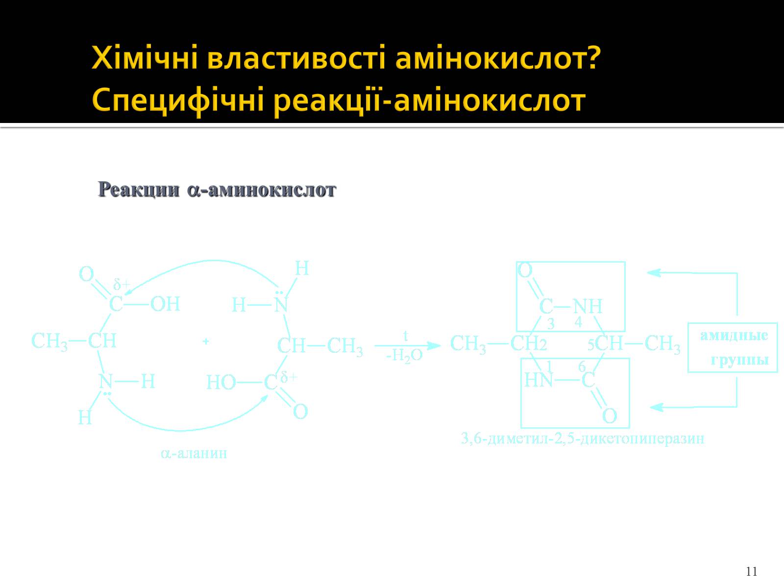 Презентація на тему «Амінокислоти. Історія їх відкриття» - Слайд #11 Презентація на тему «Амінокислоти. Історія їх відкриття» - Слайд #11