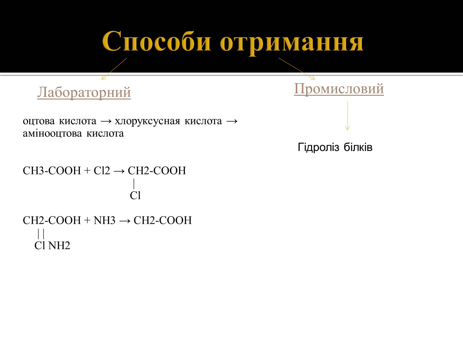 Презентація на тему «Амінокислоти. Історія їх відкриття» - Слайд #12 Презентація на тему «Амінокислоти. Історія їх відкриття» - Слайд #12
