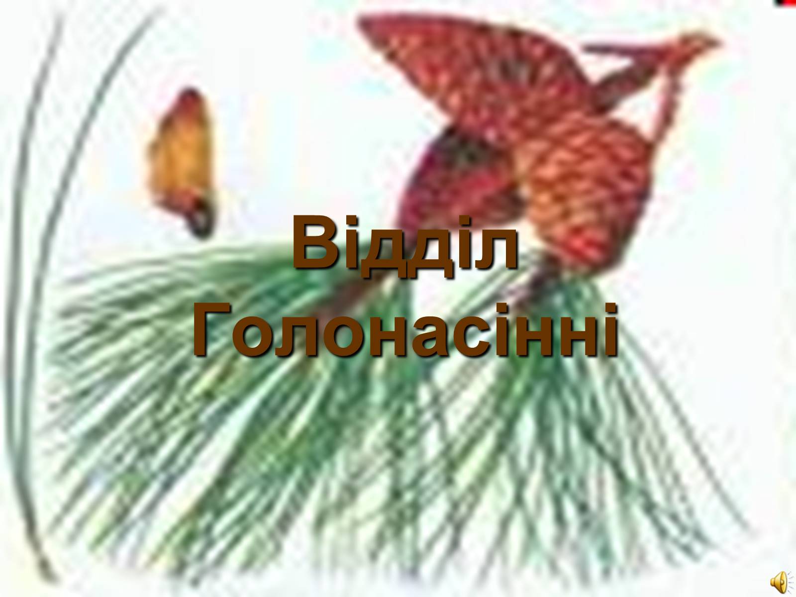 Презентація на тему «Відділ Голонасінні» - Слайд #1 Презентація на тему «Відділ Голонасінні» - Слайд #1