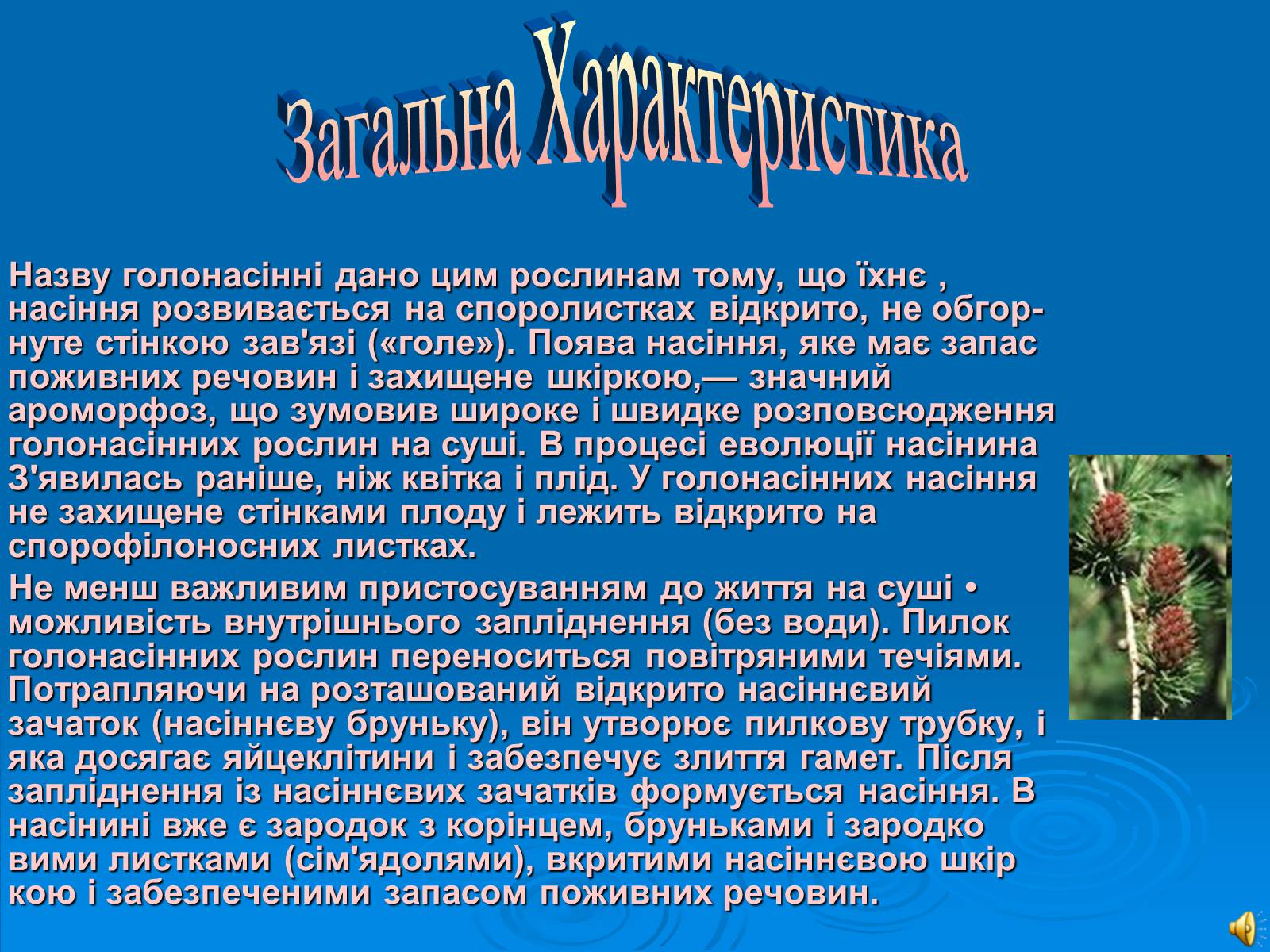 Презентація на тему «Відділ Голонасінні» - Слайд #2 Презентація на тему «Відділ Голонасінні» - Слайд #2