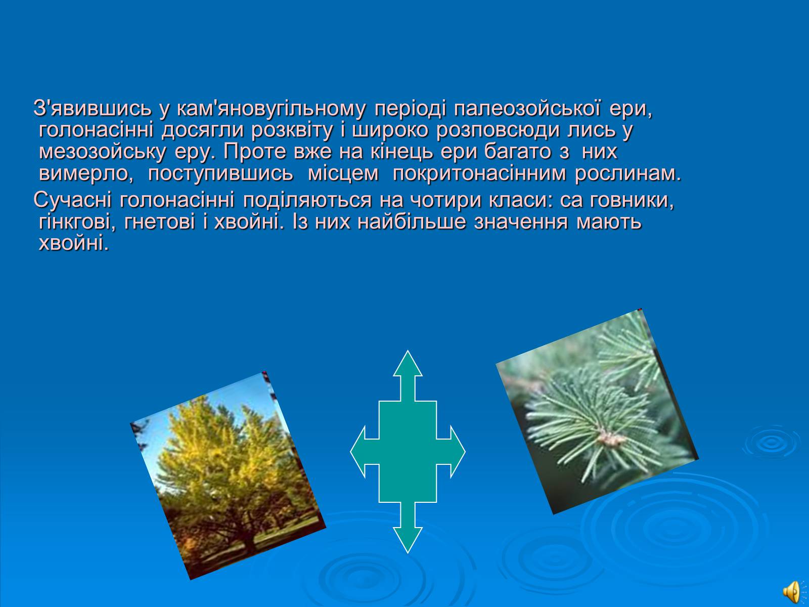 Презентація на тему «Відділ Голонасінні» - Слайд #3 Презентація на тему «Відділ Голонасінні» - Слайд #3