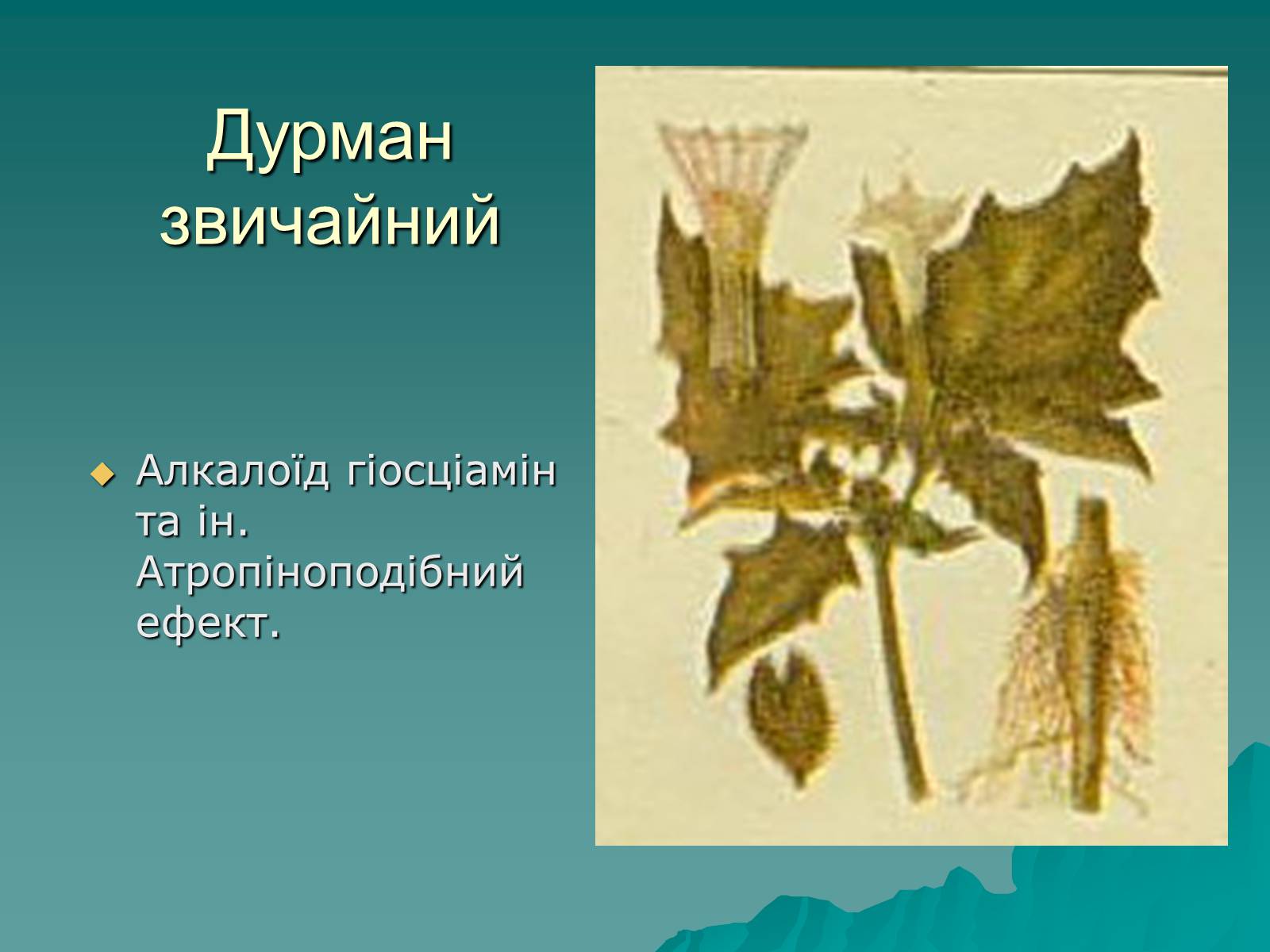 Презентація на тему «Основи безпеки харчування» - Слайд #27 Презентація на тему «Основи безпеки харчування» - Слайд #27