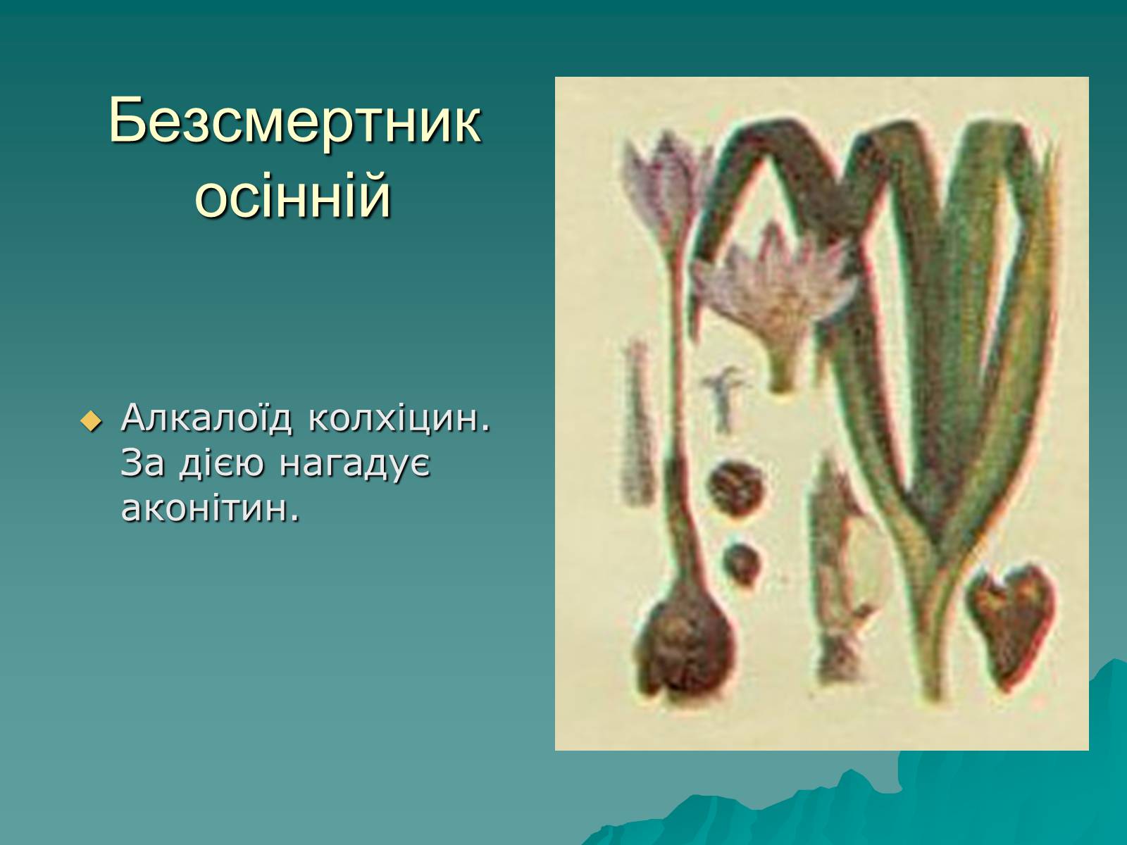 Презентація на тему «Основи безпеки харчування» - Слайд #28 Презентація на тему «Основи безпеки харчування» - Слайд #28