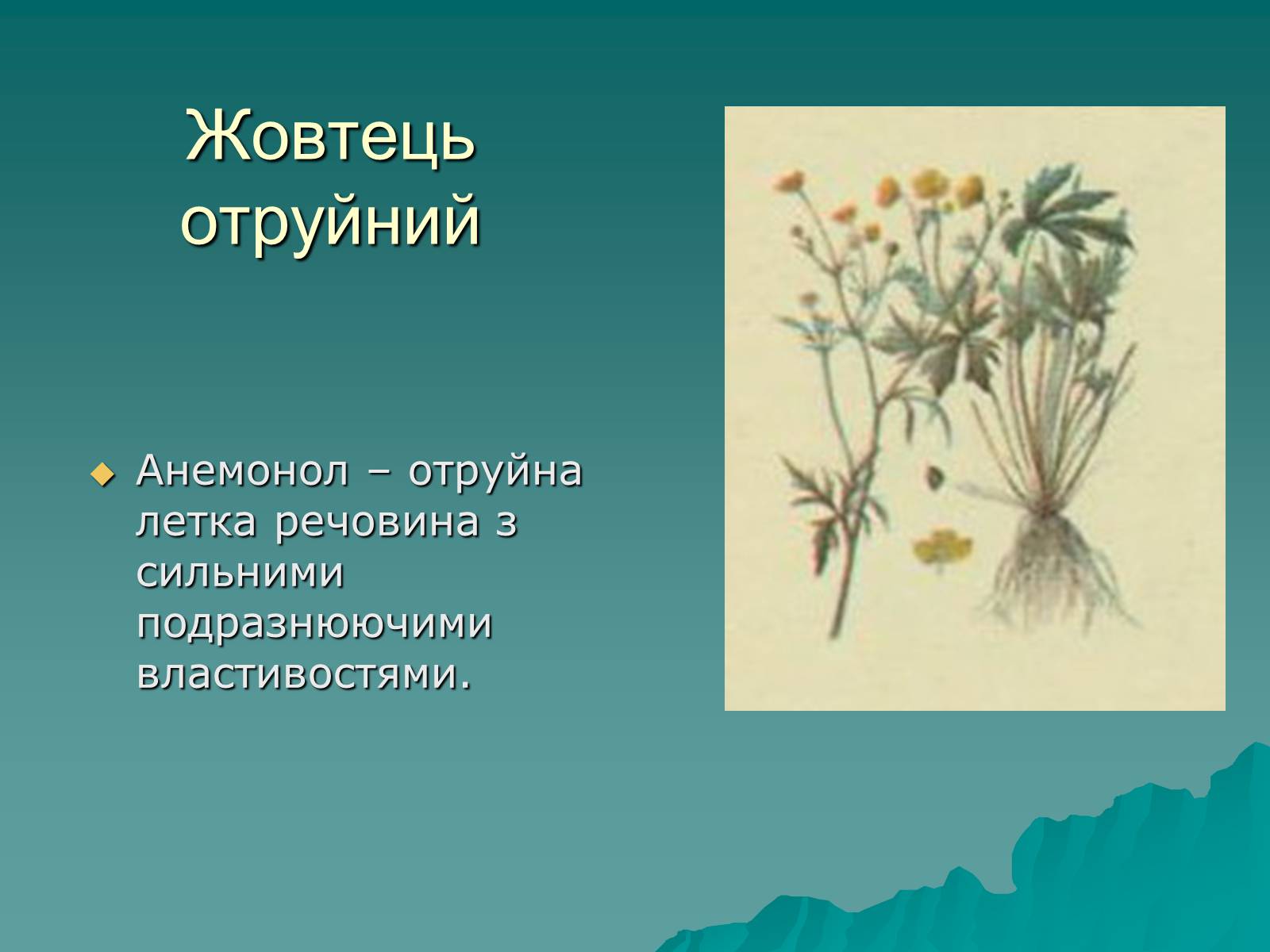 Презентація на тему «Основи безпеки харчування» - Слайд #32 Презентація на тему «Основи безпеки харчування» - Слайд #32