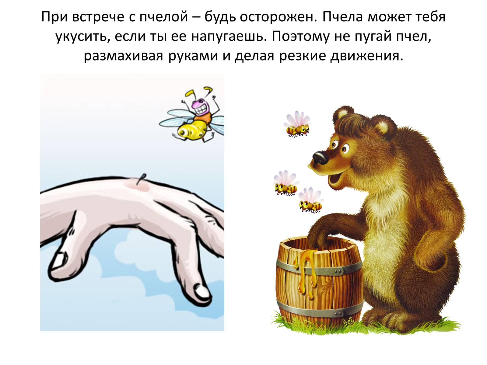 Презентація на тему «Пчела» - Слайд #36 Презентація на тему «Пчела» - Слайд #36