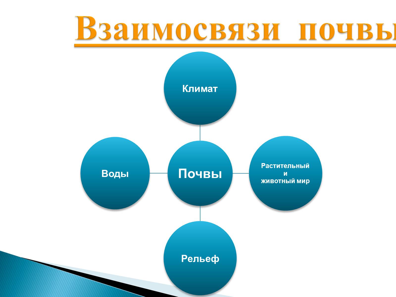 Презентація на тему «Почвы Украины» - Слайд #12 Презентація на тему «Почвы Украины» - Слайд #12