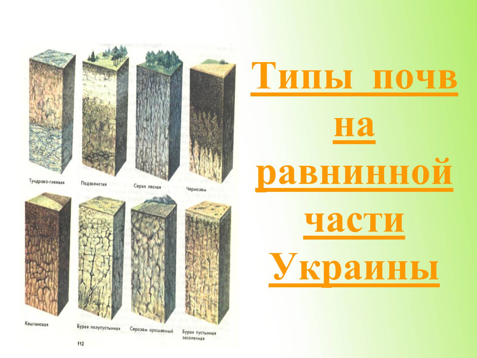 Презентація на тему «Почвы Украины» - Слайд #13 Презентація на тему «Почвы Украины» - Слайд #13