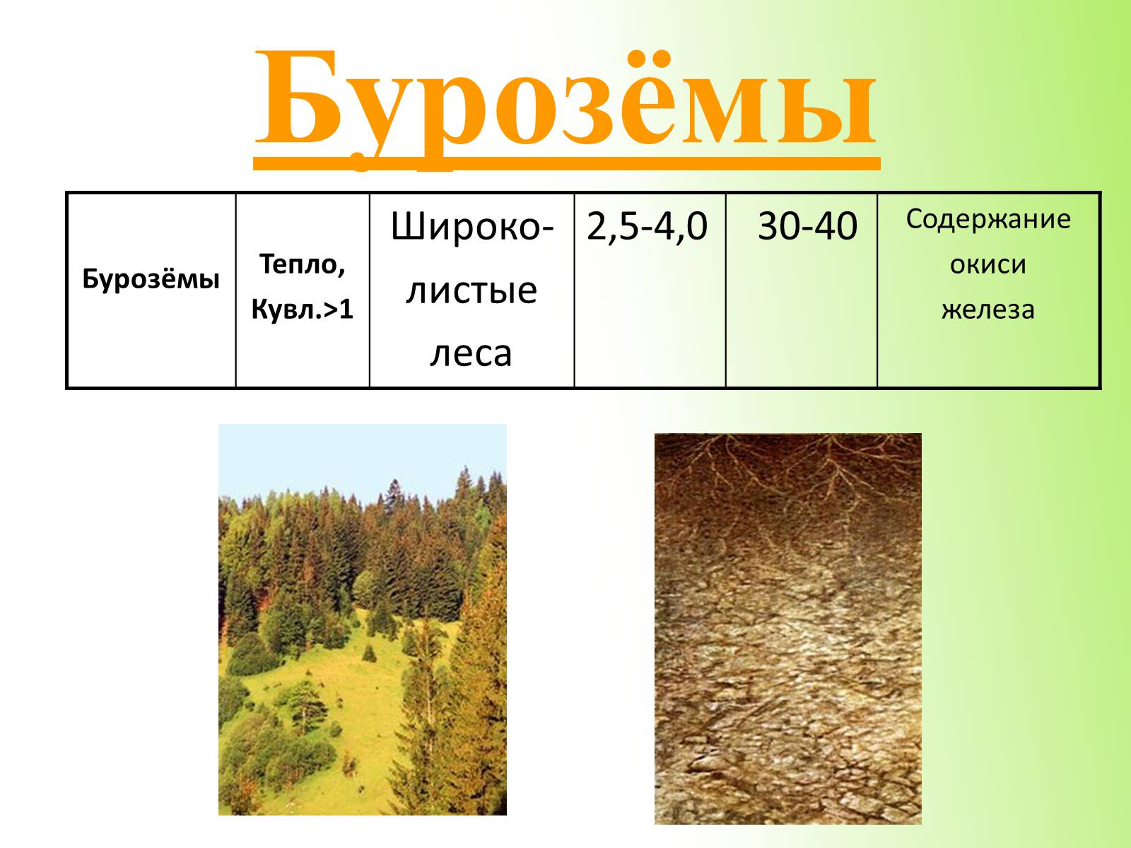 Презентація на тему «Почвы Украины» - Слайд #23 Презентація на тему «Почвы Украины» - Слайд #23