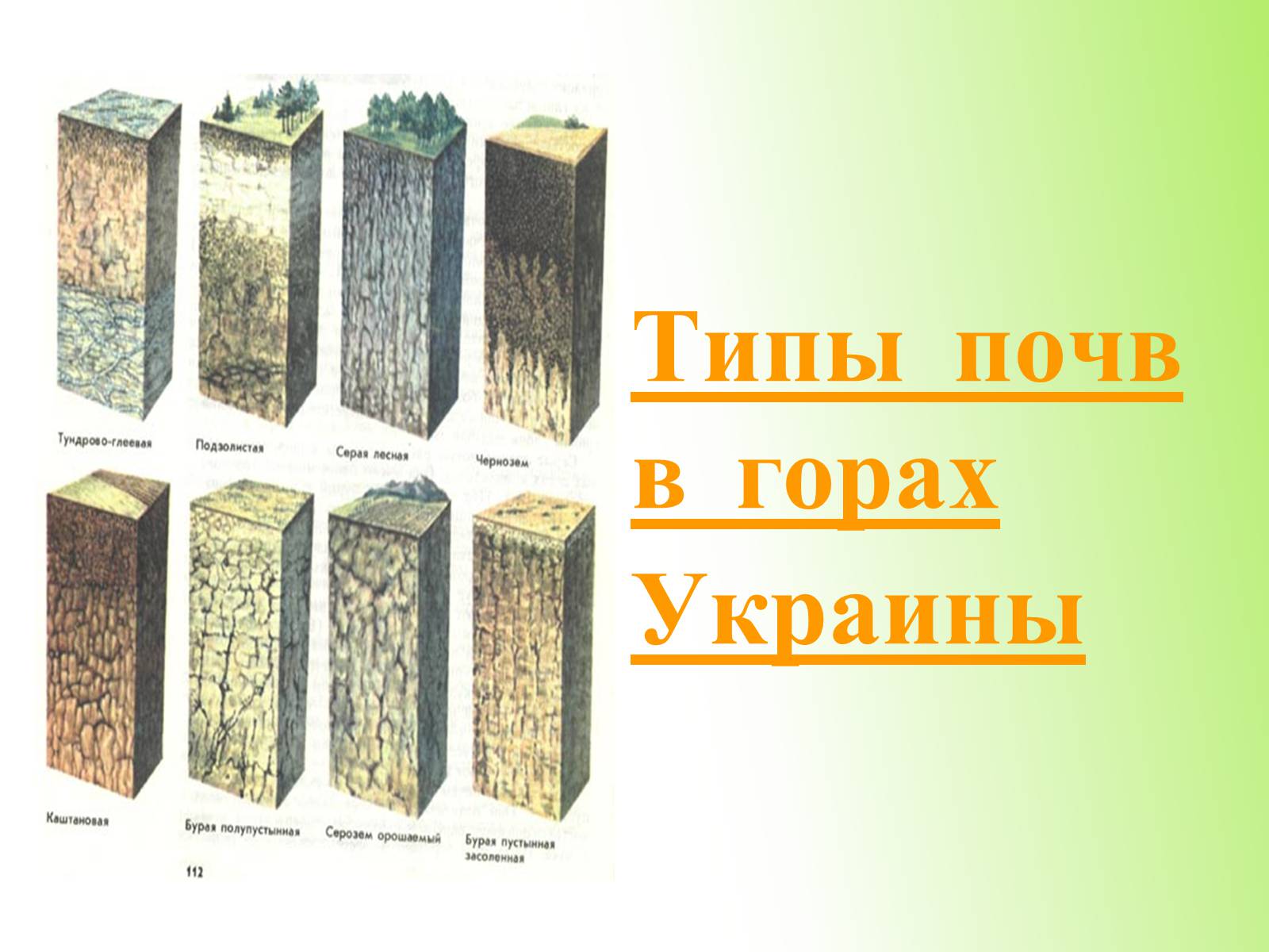 Презентація на тему «Почвы Украины» - Слайд #25 Презентація на тему «Почвы Украины» - Слайд #25