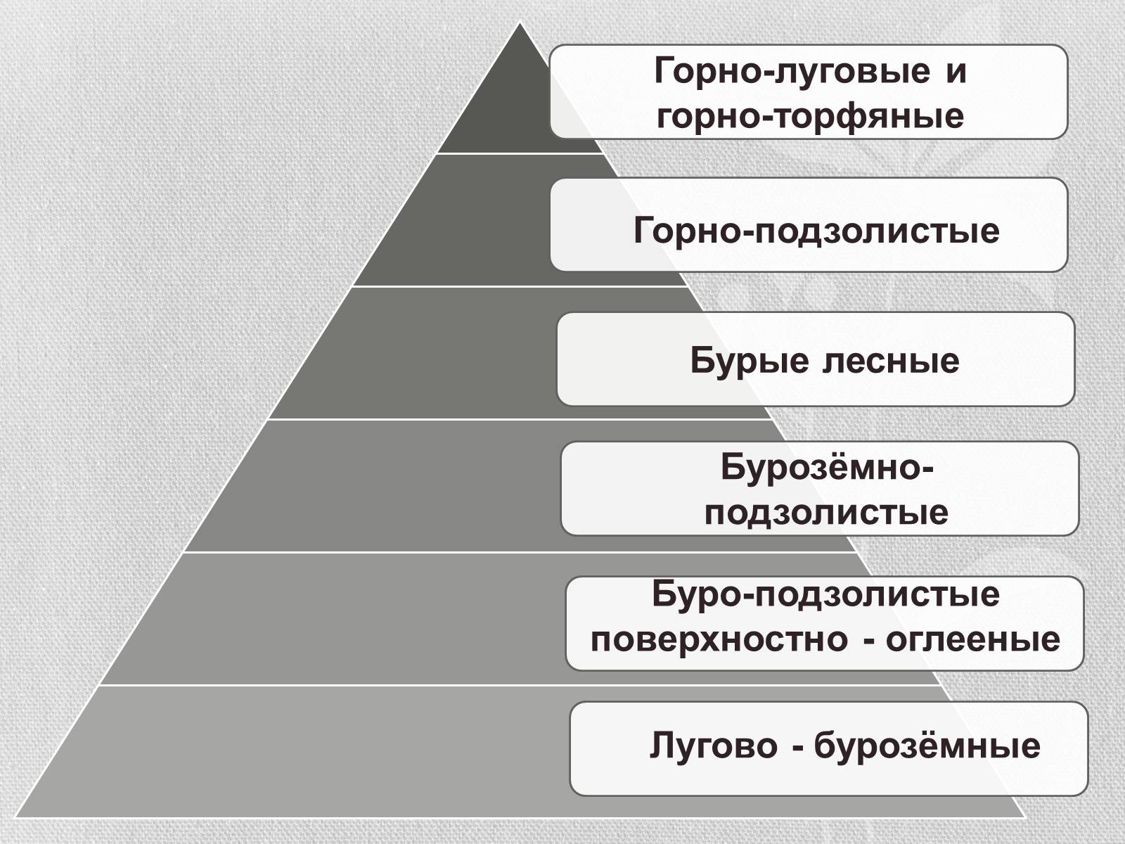 Презентація на тему «Почвы Украины» - Слайд #28 Презентація на тему «Почвы Украины» - Слайд #28