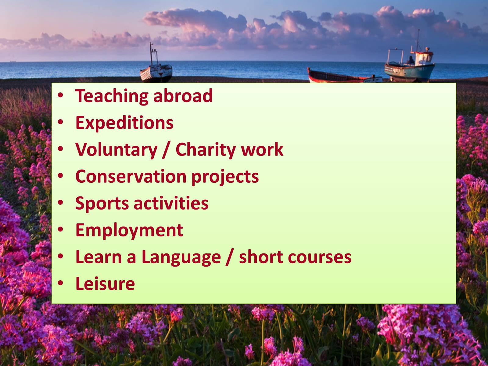 Презентація на тему «Taking a Gap Year in Ukraine» (варіант 1) - Слайд #5