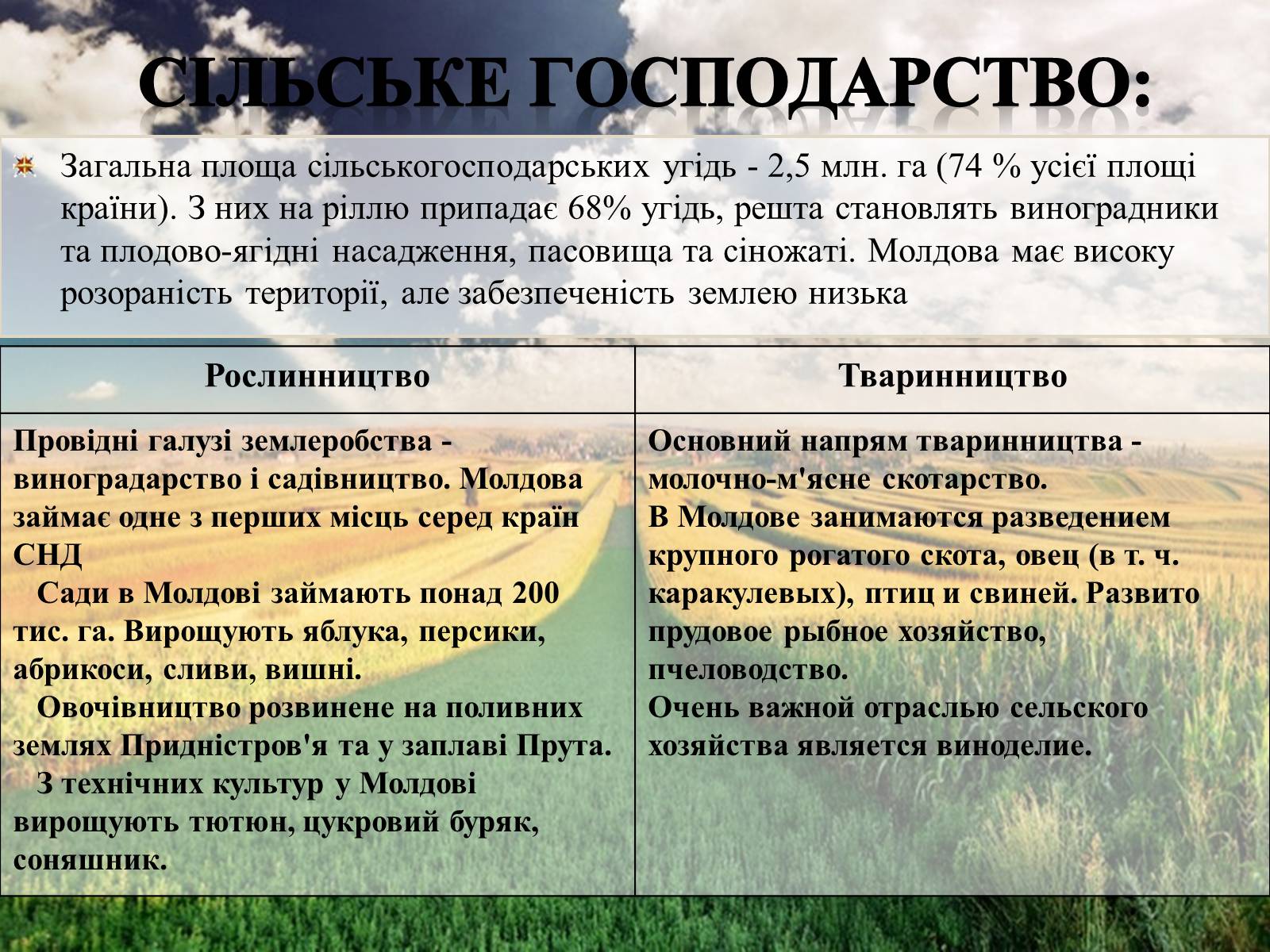 Презентація на тему «Республіка Молдова» (варіант 3) - Слайд #10 Презентація на тему «Республіка Молдова» (варіант 3) - Слайд #10