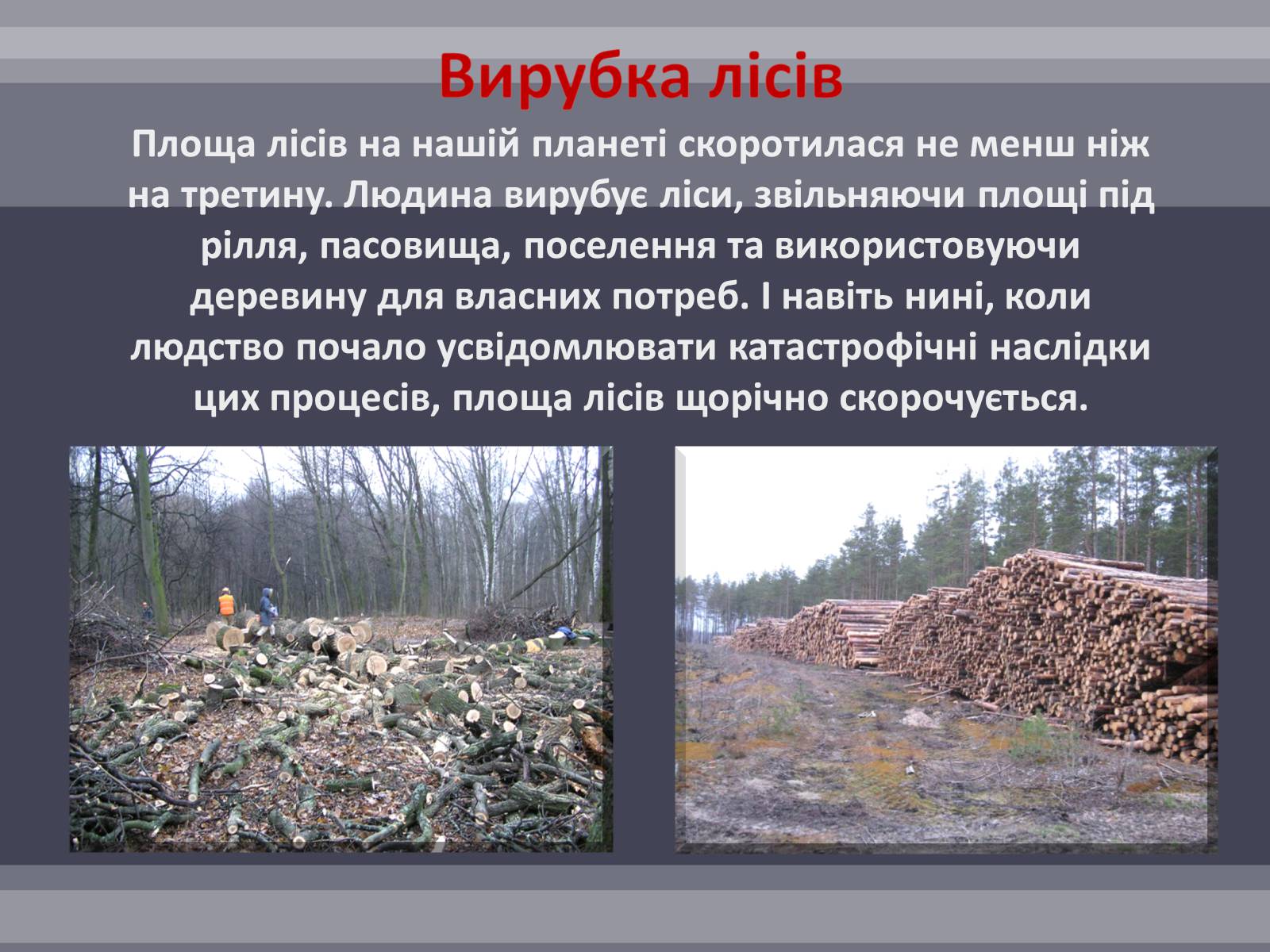 Презентація на тему «Вплив людини на біосферу» (варіант 2) - Слайд #7 Презентація на тему «Вплив людини на біосферу» (варіант 2) - Слайд #7