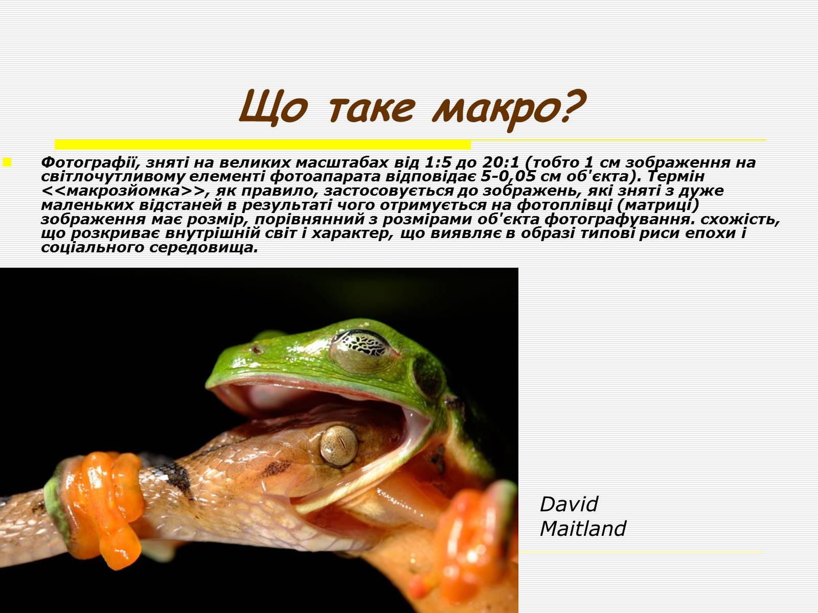 Презентація на тему «Художня фотографія» (варіант 1) - Слайд #16 Презентація на тему «Художня фотографія» (варіант 1) - Слайд #16