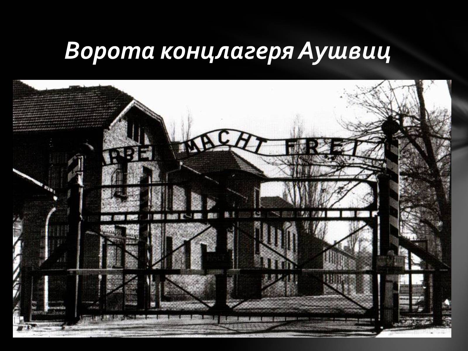 Презентація на тему «Память о Холокосте» - Слайд #10 Презентація на тему «Память о Холокосте» - Слайд #10