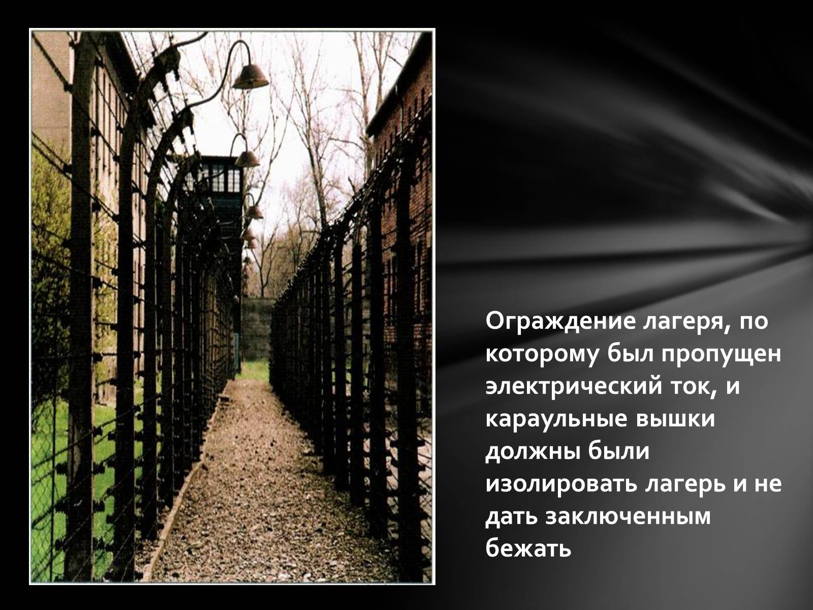 Презентація на тему «Память о Холокосте» - Слайд #11 Презентація на тему «Память о Холокосте» - Слайд #11