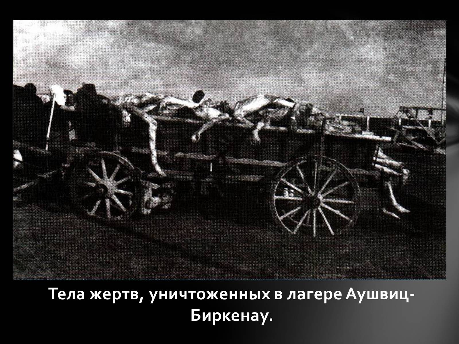 Презентація на тему «Память о Холокосте» - Слайд #13 Презентація на тему «Память о Холокосте» - Слайд #13