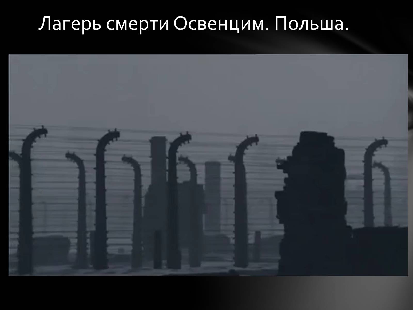 Презентація на тему «Память о Холокосте» - Слайд #14 Презентація на тему «Память о Холокосте» - Слайд #14