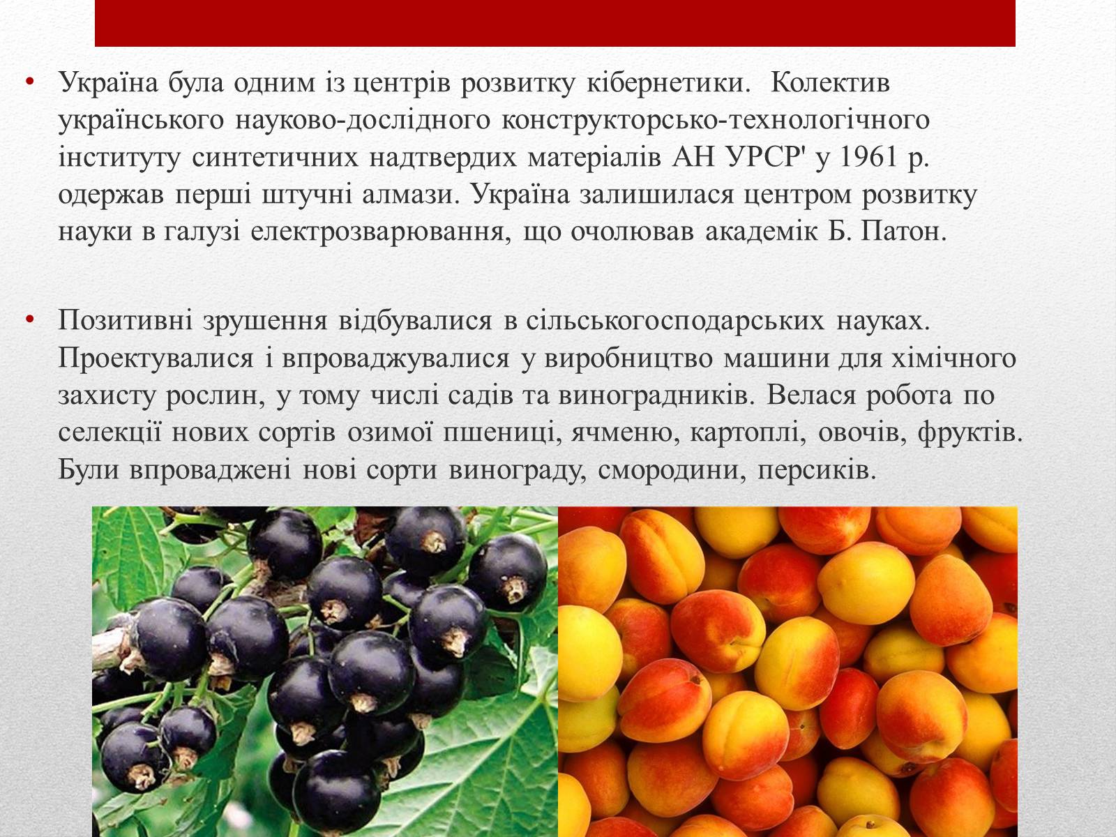 Презентація на тему «Культурне і духовне життя в Україні 50-тих років в період “відлиги”» - Слайд #12 Презентація на тему «Культурне і духовне життя в Україні 50-тих років в період “відлиги”» - Слайд #12