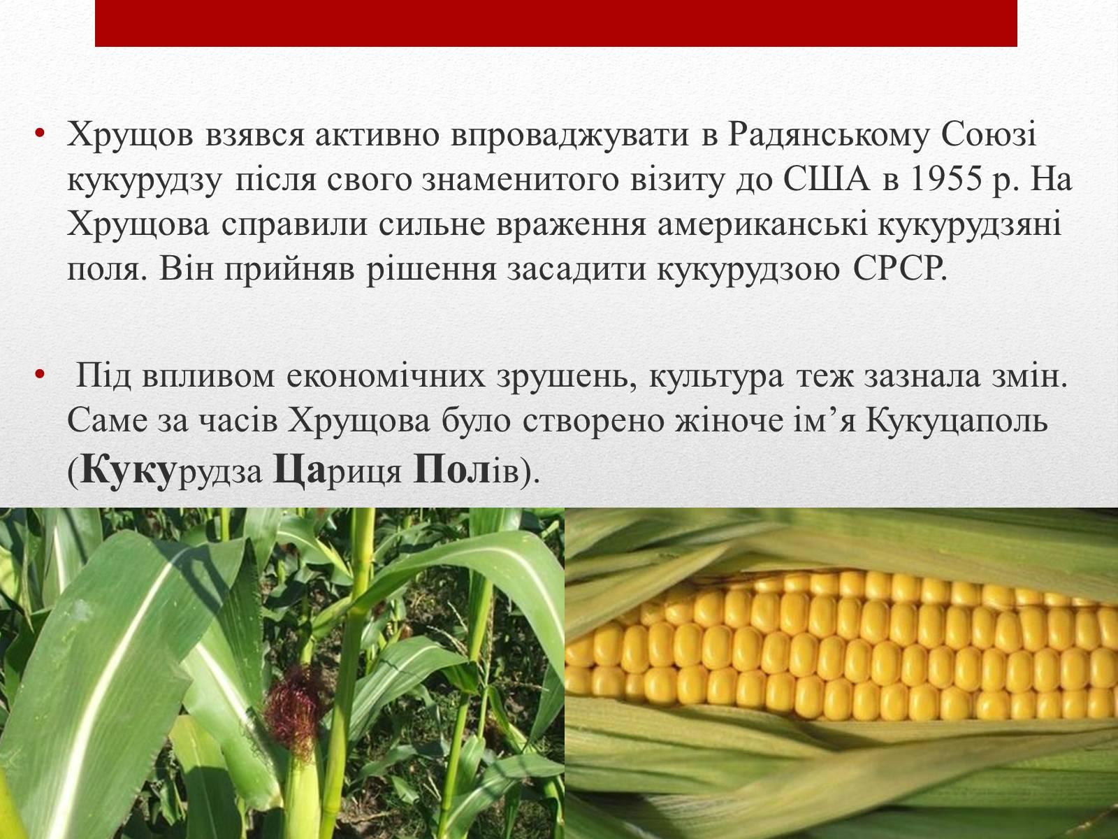 Презентація на тему «Культурне і духовне життя в Україні 50-тих років в період “відлиги”» - Слайд #6 Презентація на тему «Культурне і духовне життя в Україні 50-тих років в період “відлиги”» - Слайд #6
