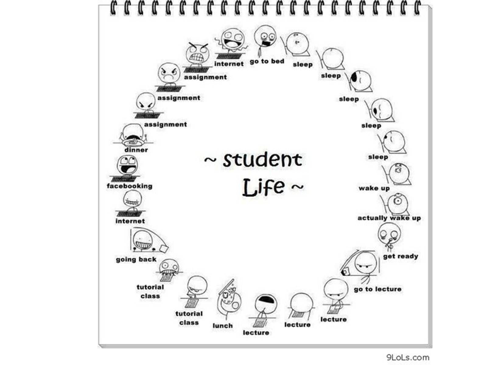 Презентація на тему «Student’s Life» - Слайд #15 Презентація на тему «Student’s Life» - Слайд #15