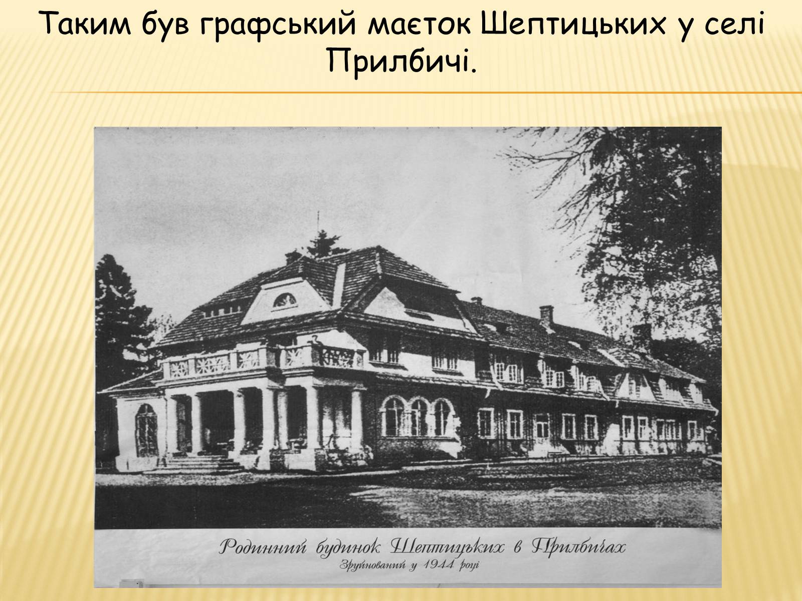 Презентація на тему «Вчення та діяльність Митрополита Андрея Шептицького» - Слайд #5 Презентація на тему «Вчення та діяльність Митрополита Андрея Шептицького» - Слайд #5