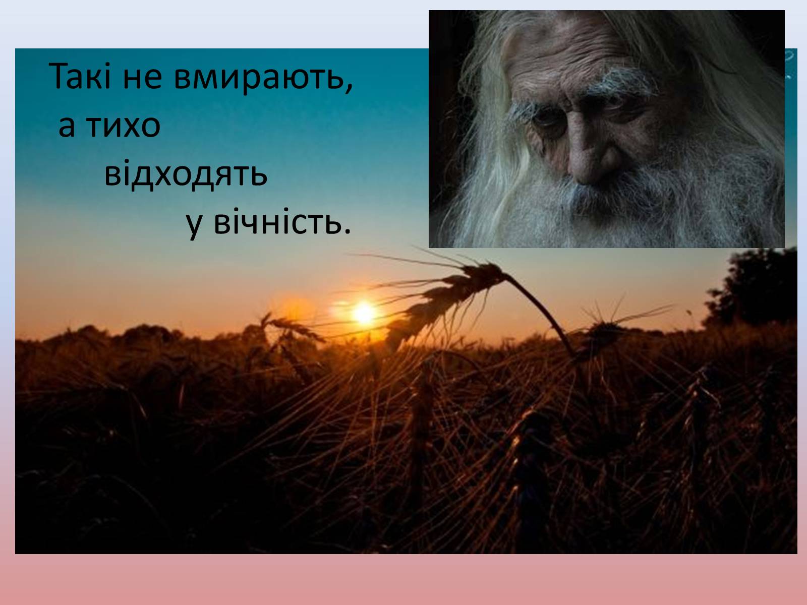 Презентація на тему «Незламна душа останнього кошового отамана Запорозької Січі» - Слайд #11 Презентація на тему «Незламна душа останнього кошового отамана Запорозької Січі» - Слайд #11