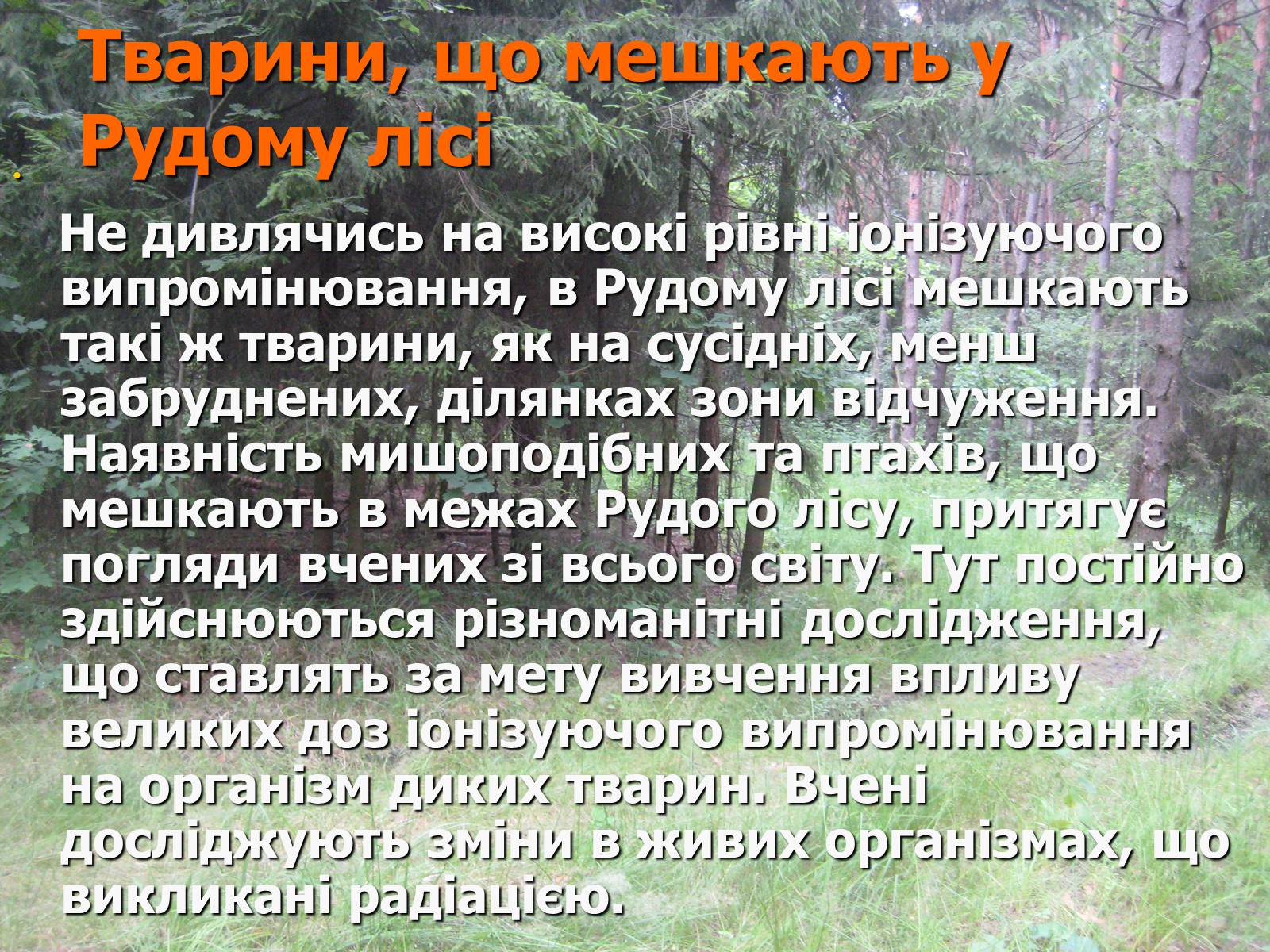 Презентація на тему «Чорнобиль» (варіант 7) - Слайд #36 Презентація на тему «Чорнобиль» (варіант 7) - Слайд #36