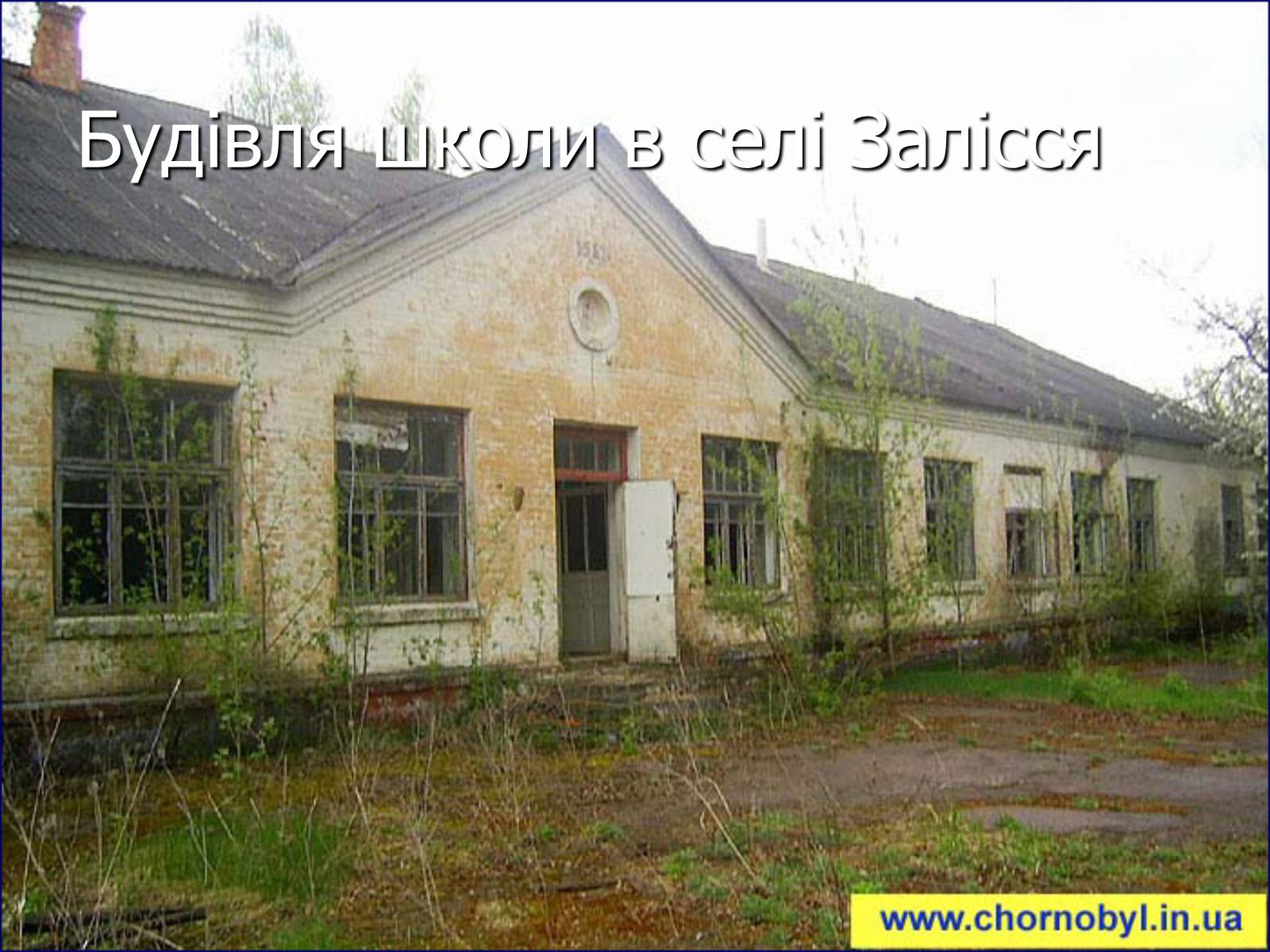 Презентація на тему «Чорнобиль» (варіант 7) - Слайд #61 Презентація на тему «Чорнобиль» (варіант 7) - Слайд #61