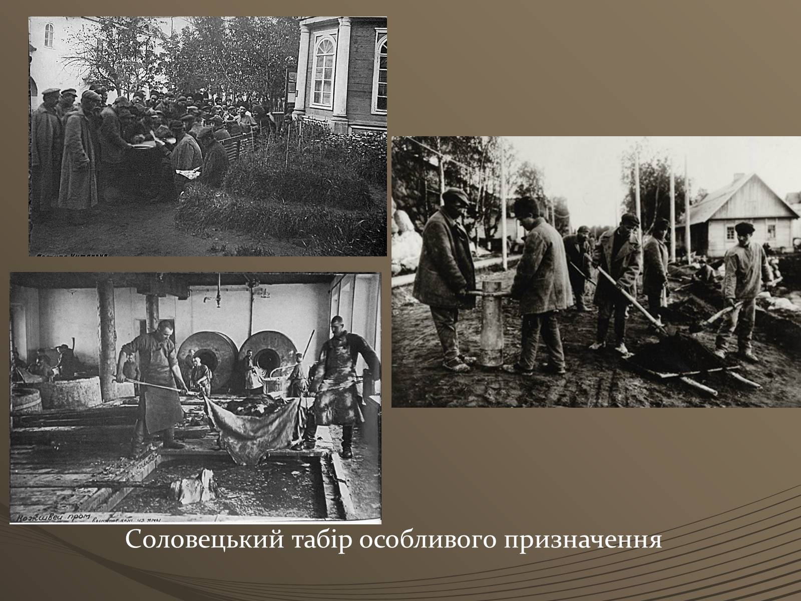 Презентація на тему «Період Розстріляного Відродження» - Слайд #11 Презентація на тему «Період Розстріляного Відродження» - Слайд #11