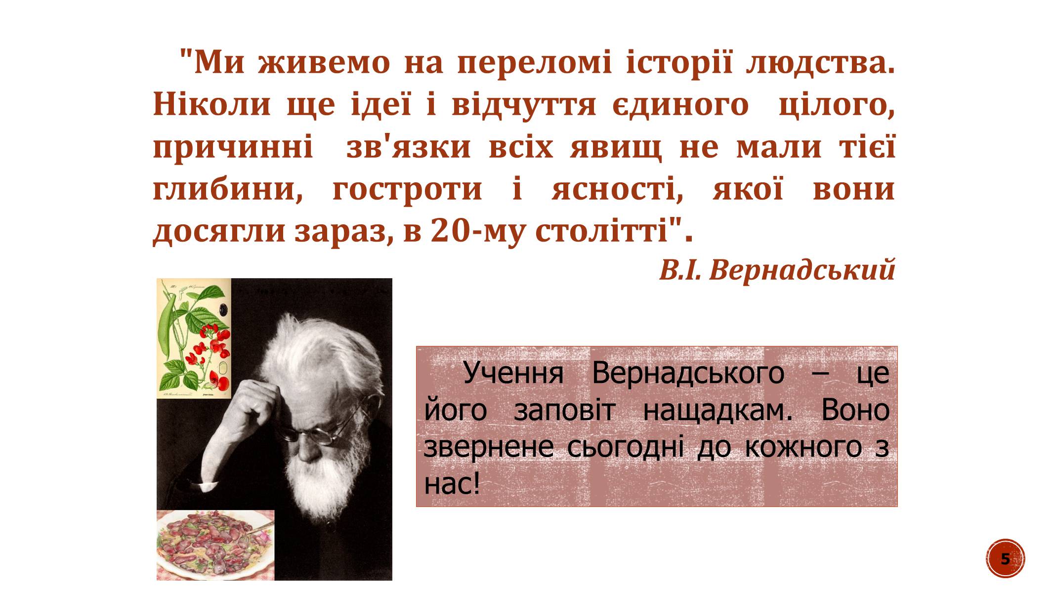 Презентація на тему «В.І. Вернадський» - Слайд #5 Презентація на тему «В.І. Вернадський» - Слайд #5