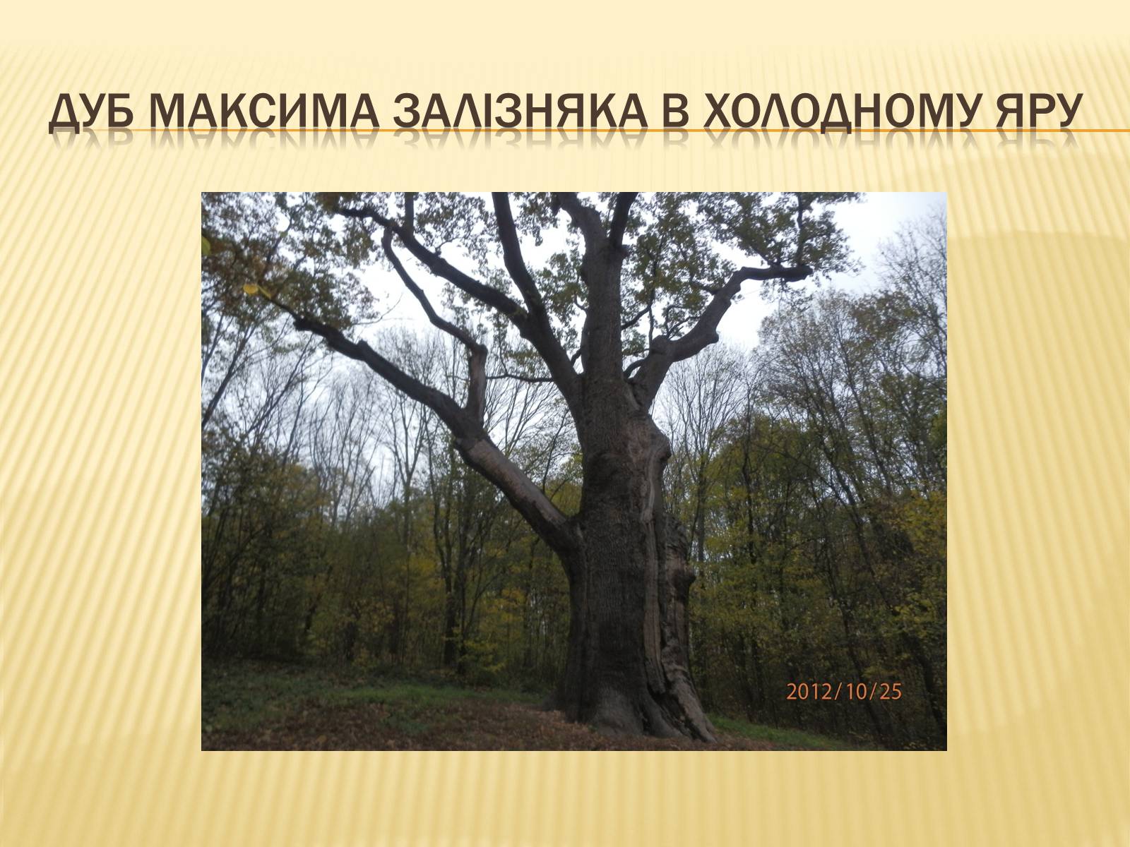 Презентація на тему «Гайдамацький рух на Брацлавщині» - Слайд #22 Презентація на тему «Гайдамацький рух на Брацлавщині» - Слайд #22