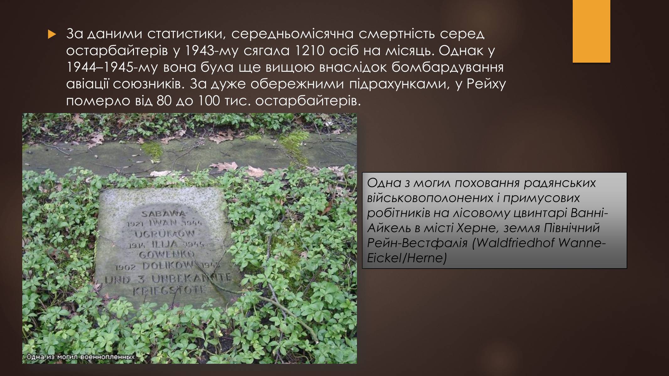 Презентація на тему «Остарбайтери» (варіант 1) - Слайд #18 Презентація на тему «Остарбайтери» (варіант 1) - Слайд #18