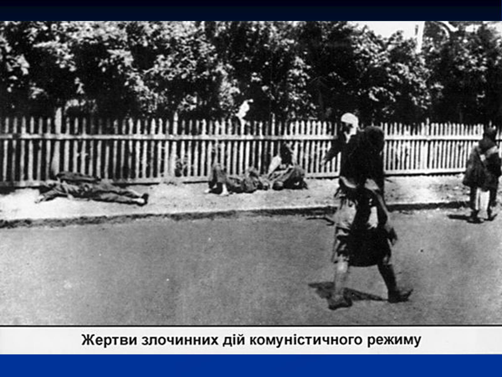 Презентація на тему «Голодомор» (варіант 5) - Слайд #22 Презентація на тему «Голодомор» (варіант 5) - Слайд #22