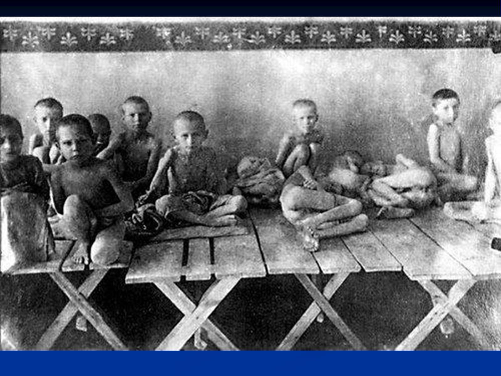Презентація на тему «Голодомор» (варіант 5) - Слайд #25 Презентація на тему «Голодомор» (варіант 5) - Слайд #25