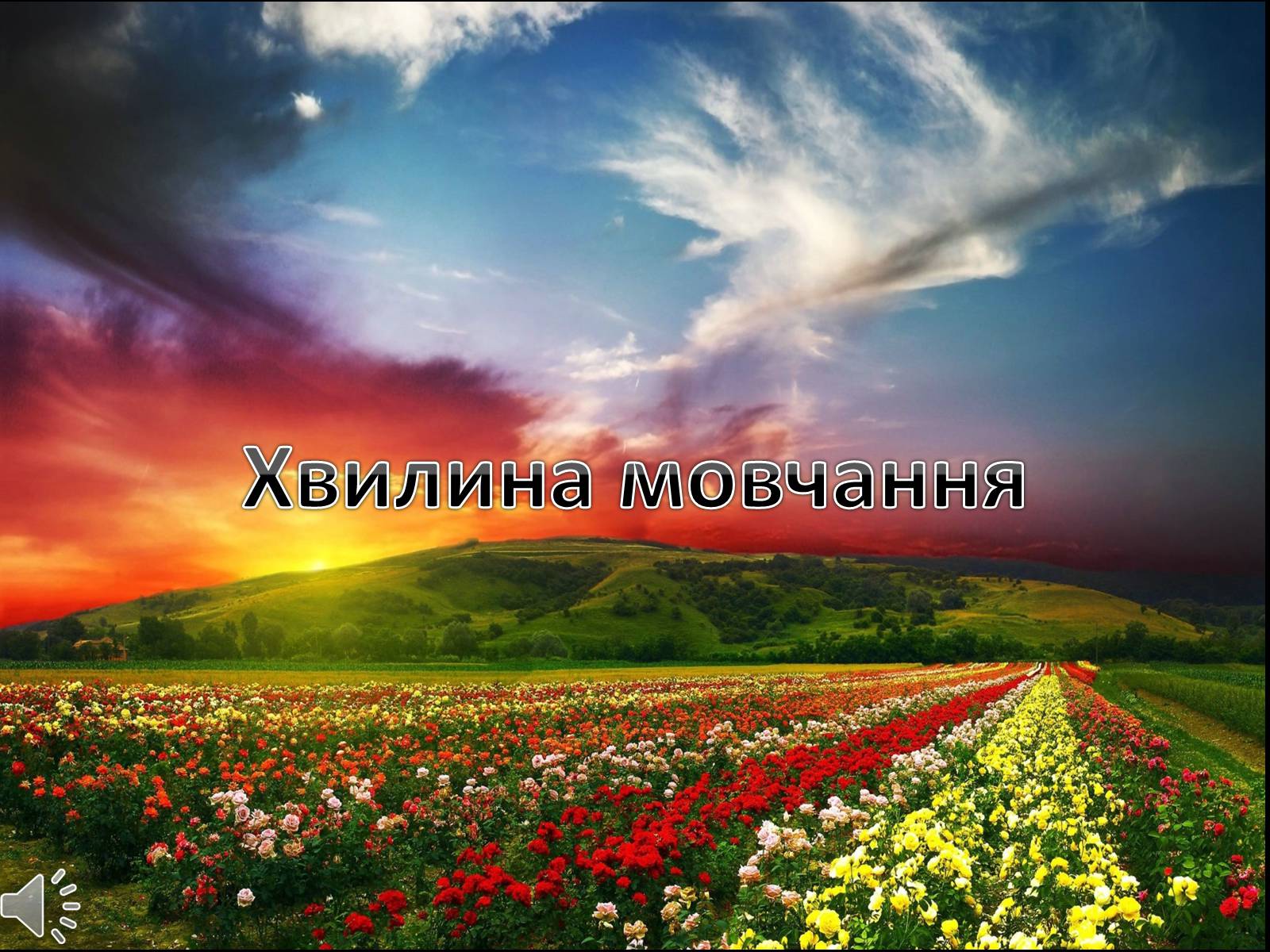 Презентація на тему «Визволення Києва» (варіант 1) - Слайд #14 Презентація на тему «Визволення Києва» (варіант 1) - Слайд #14